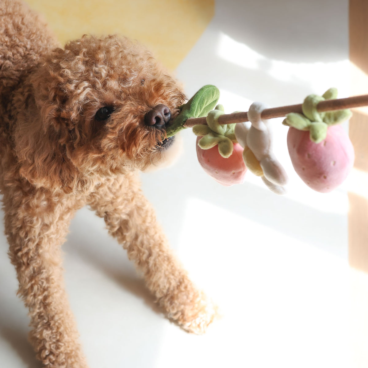 Strawberry Vine Rope Toy