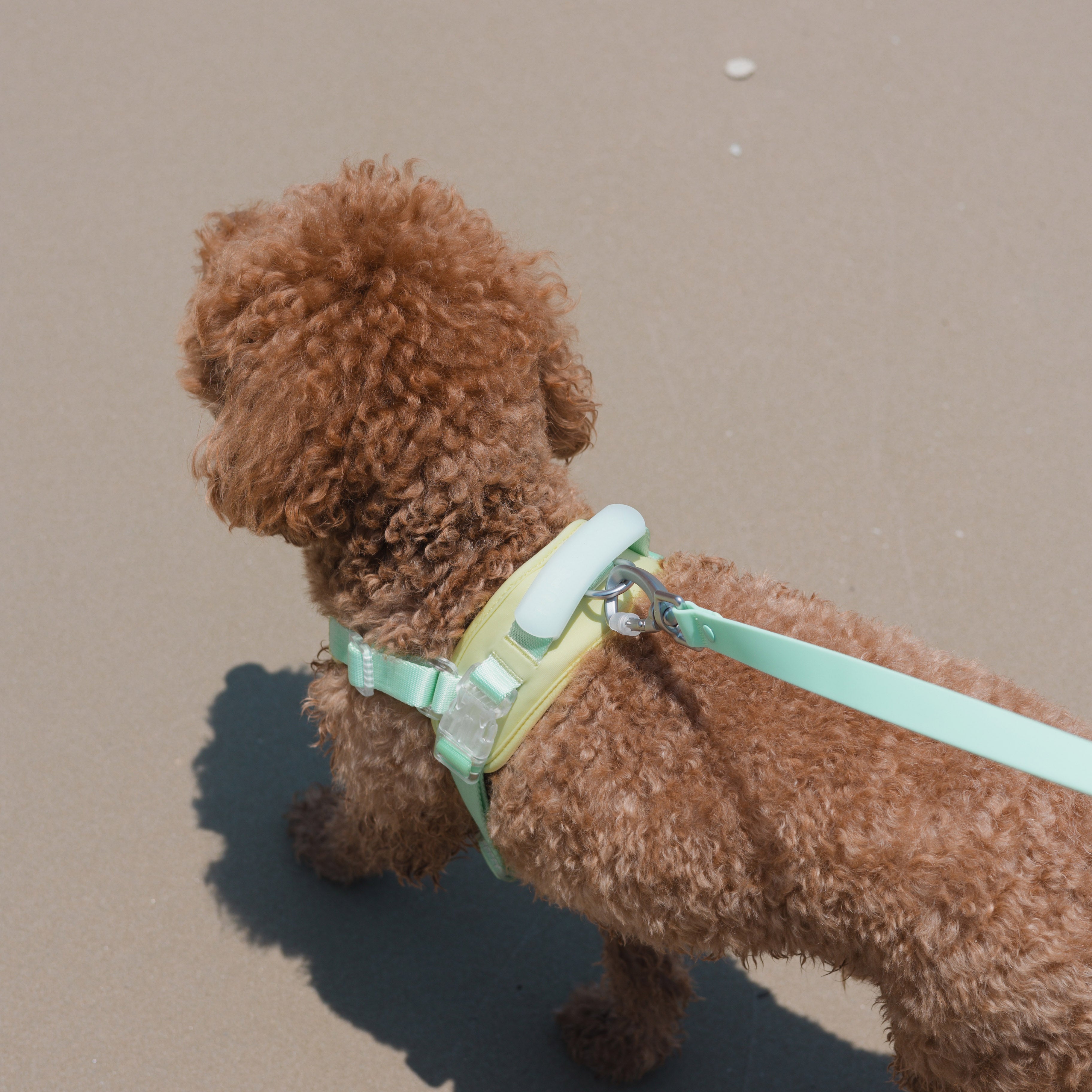 Jelly Harness (Cream Soda)