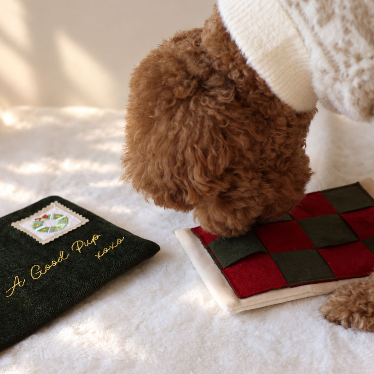 Letter To Santa Nosework Toy