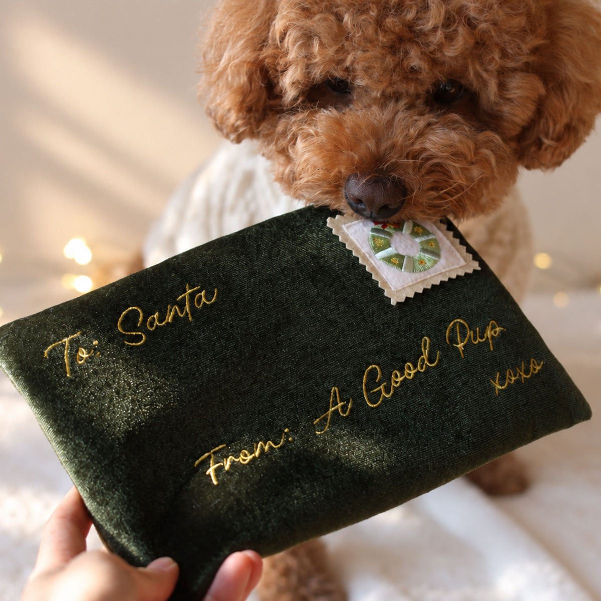 Letter To Santa Nosework Toy
