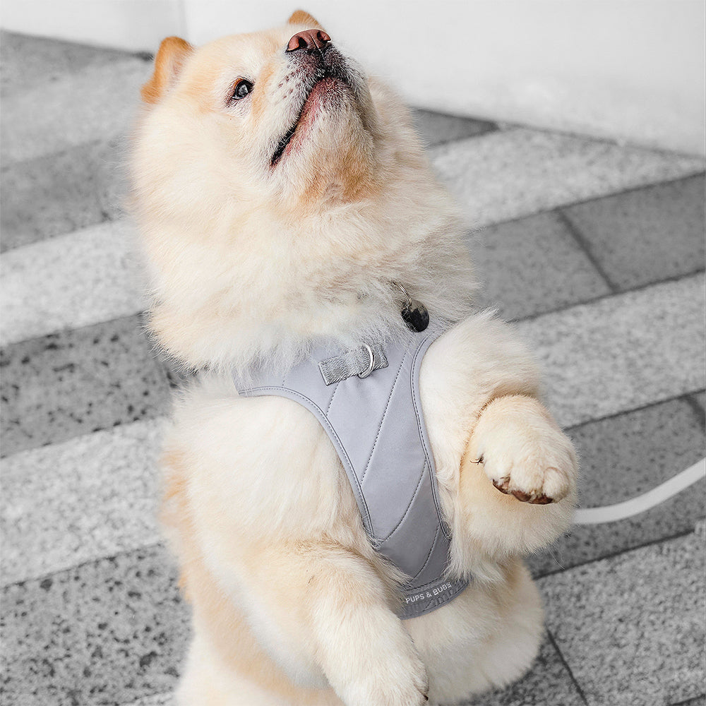 Roam Luxe Harness (Space)