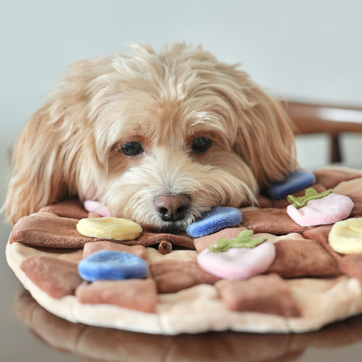 Fruity Delight Crêpe Snuffle Mat