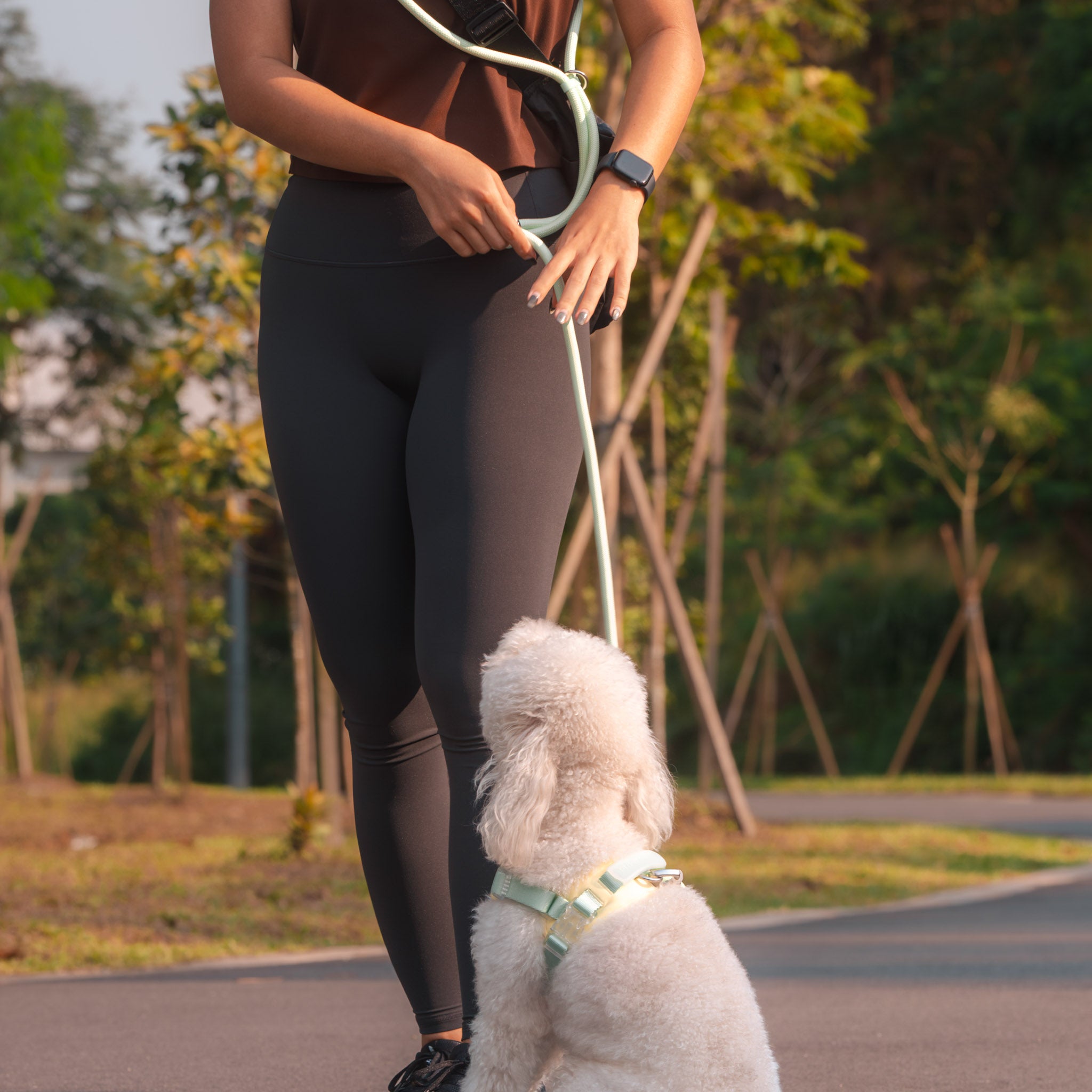 Rover Rope Leash (Cream Soda)