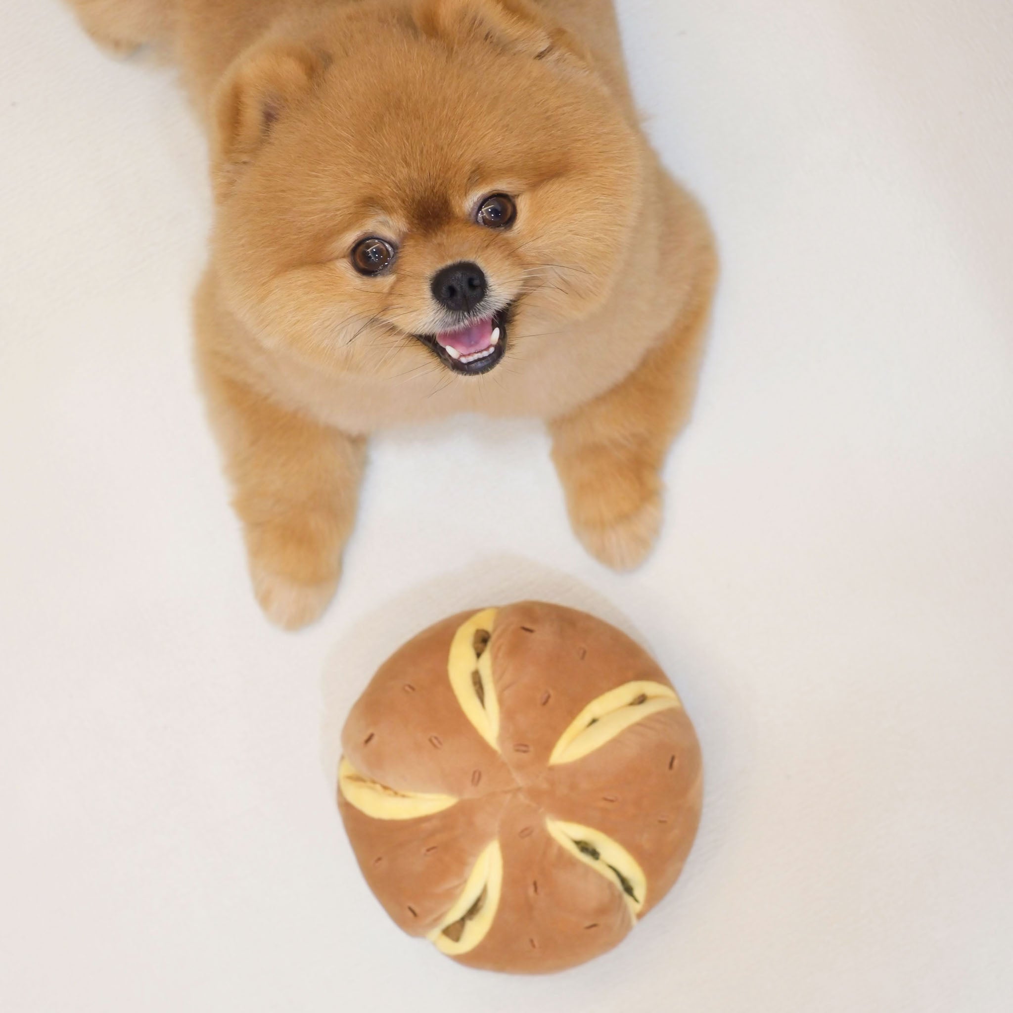 Cheesy Bread Nosework Toy - Pups & Bubs