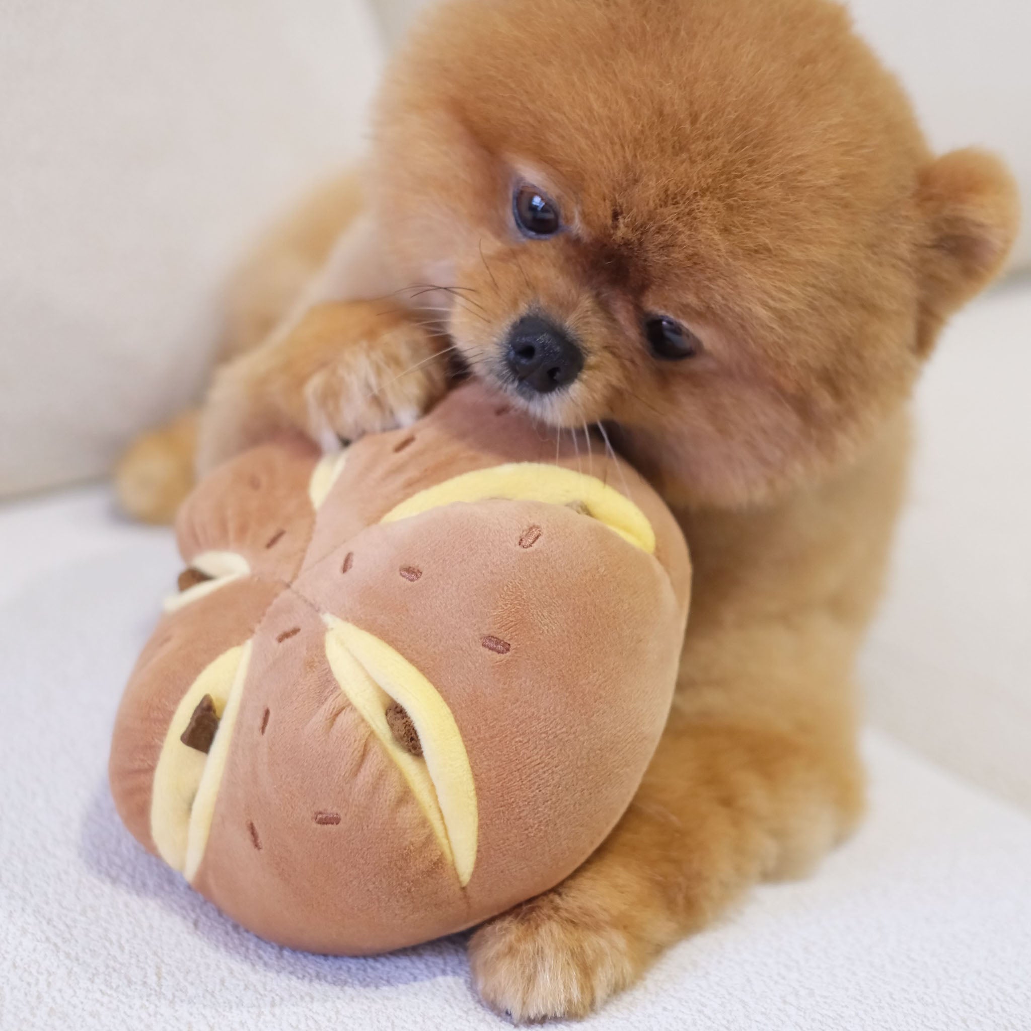 Cheesy Bread Nosework Toy - Pups & Bubs
