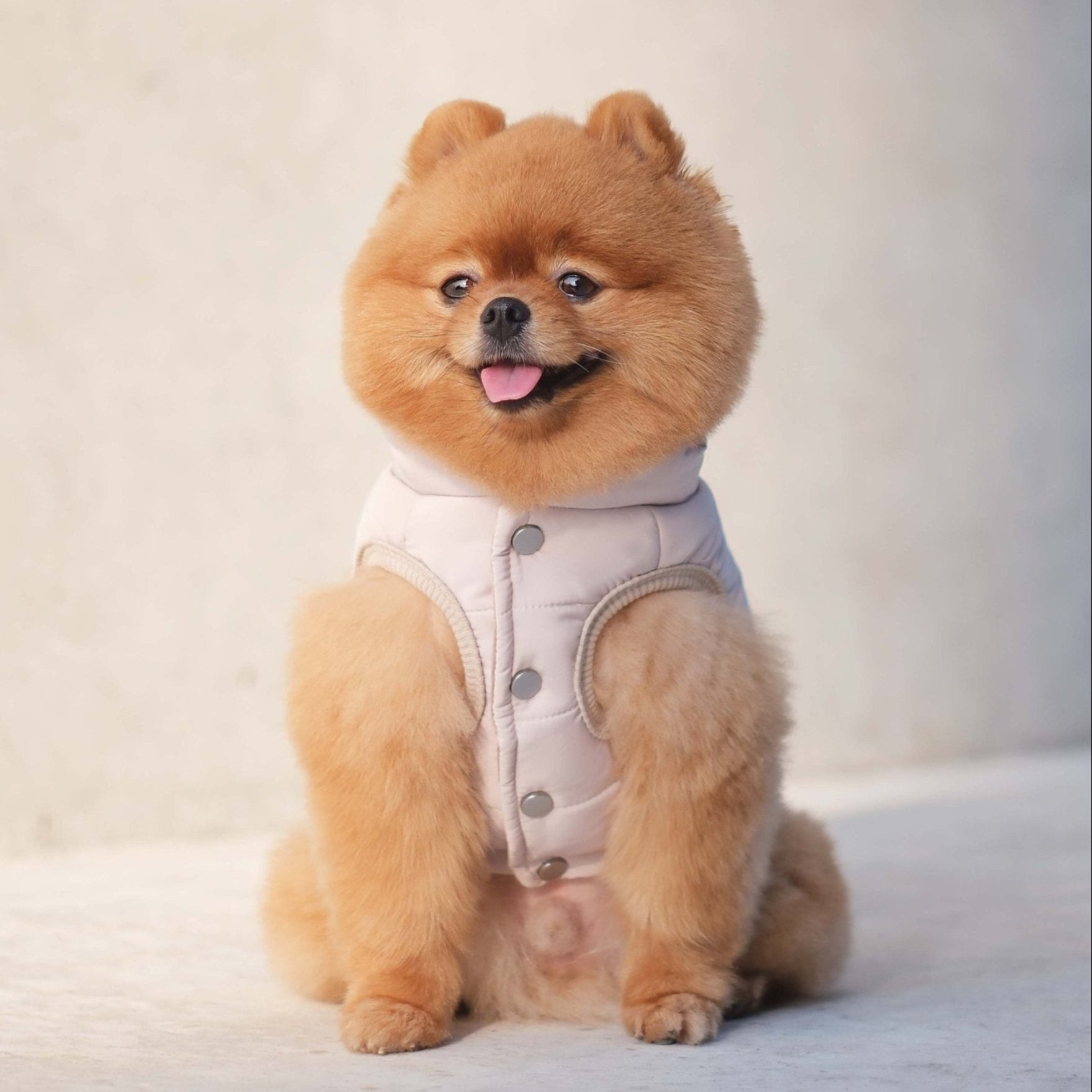 Explorer Puffer Vest (Dunes) - Pups & Bubs