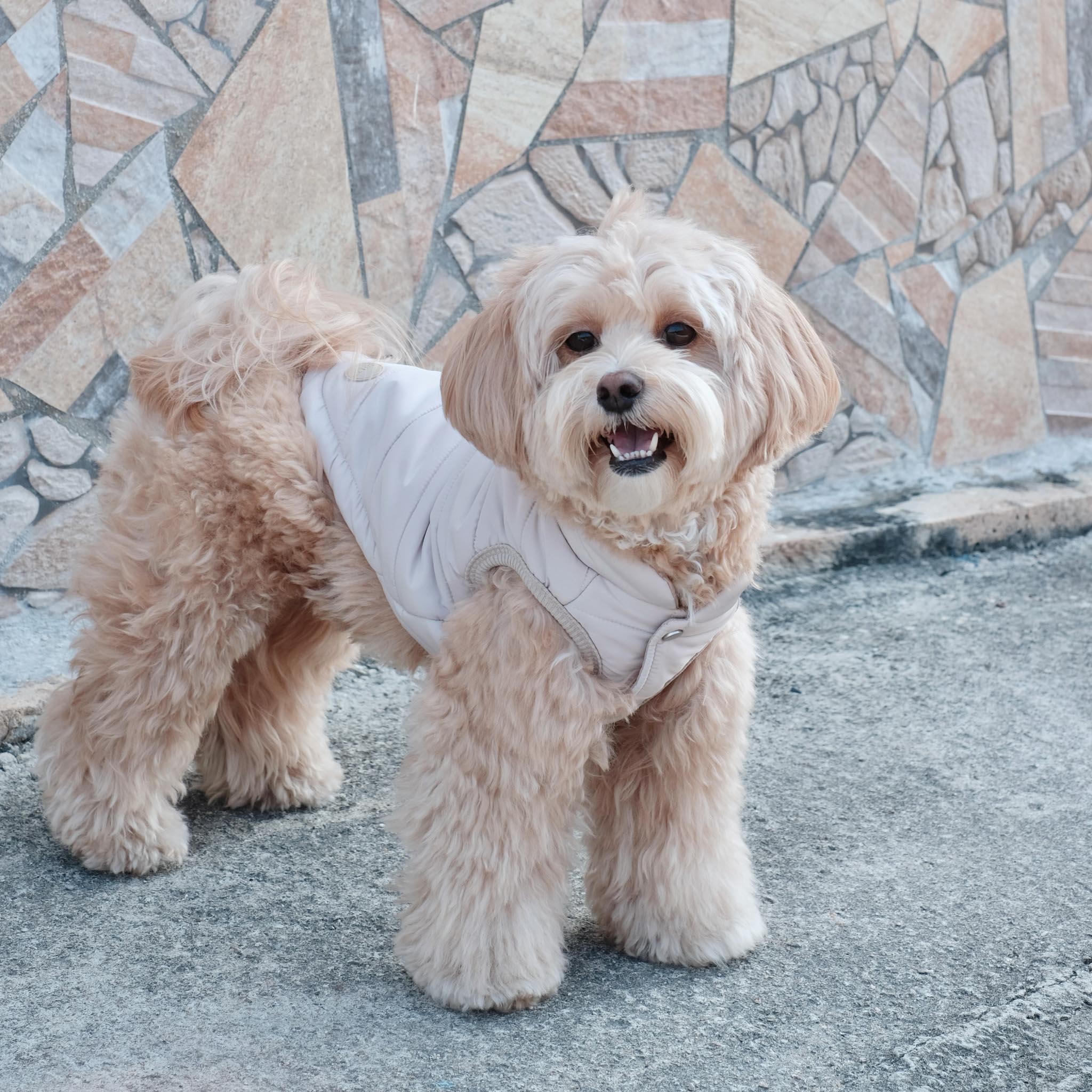 Explorer Puffer Vest (Dunes) - Pups & Bubs