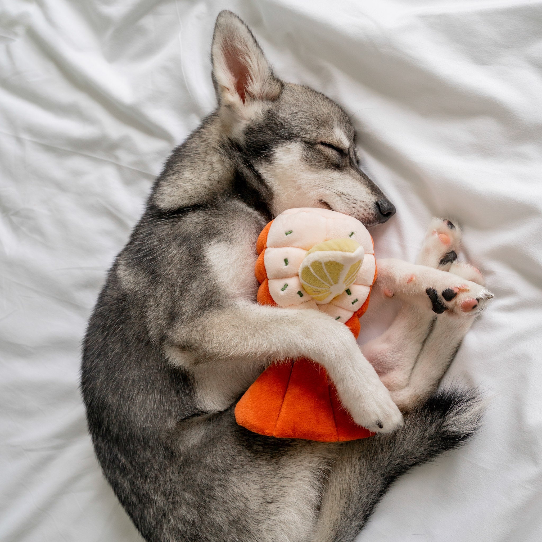 Grilled Lobster Nosework Toy - Pups & Bubs