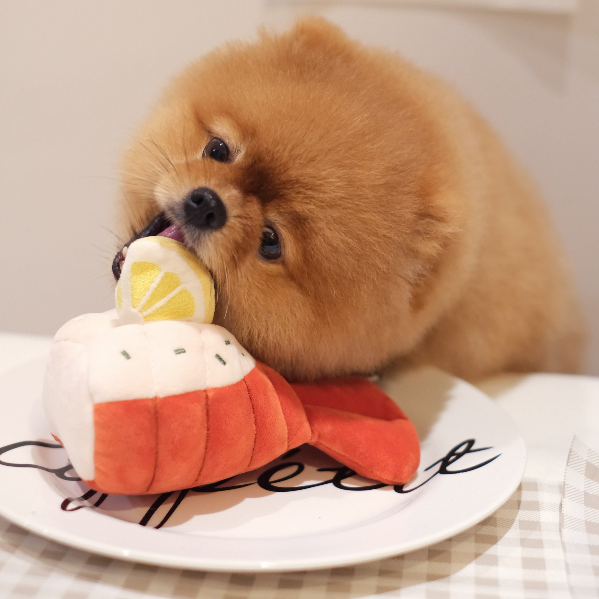 Grilled Lobster Nosework Toy - Pups & Bubs