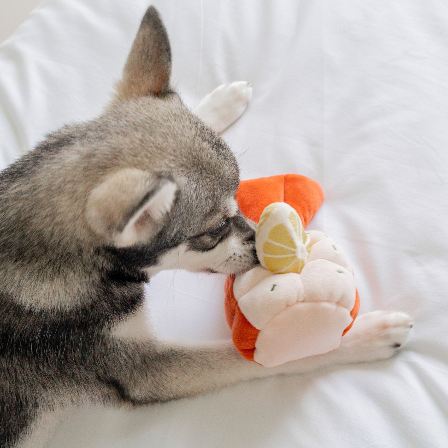 Grilled Lobster Nosework Toy - Pups & Bubs