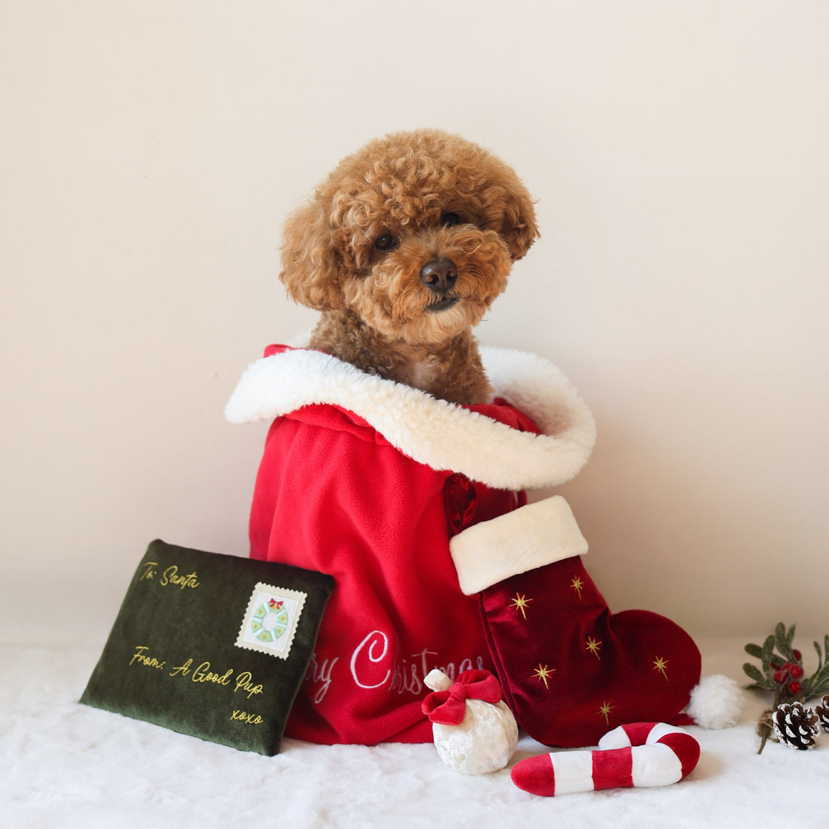 Holiday Stocking Nosework Toy (3-Piece Set) - Pups & Bubs