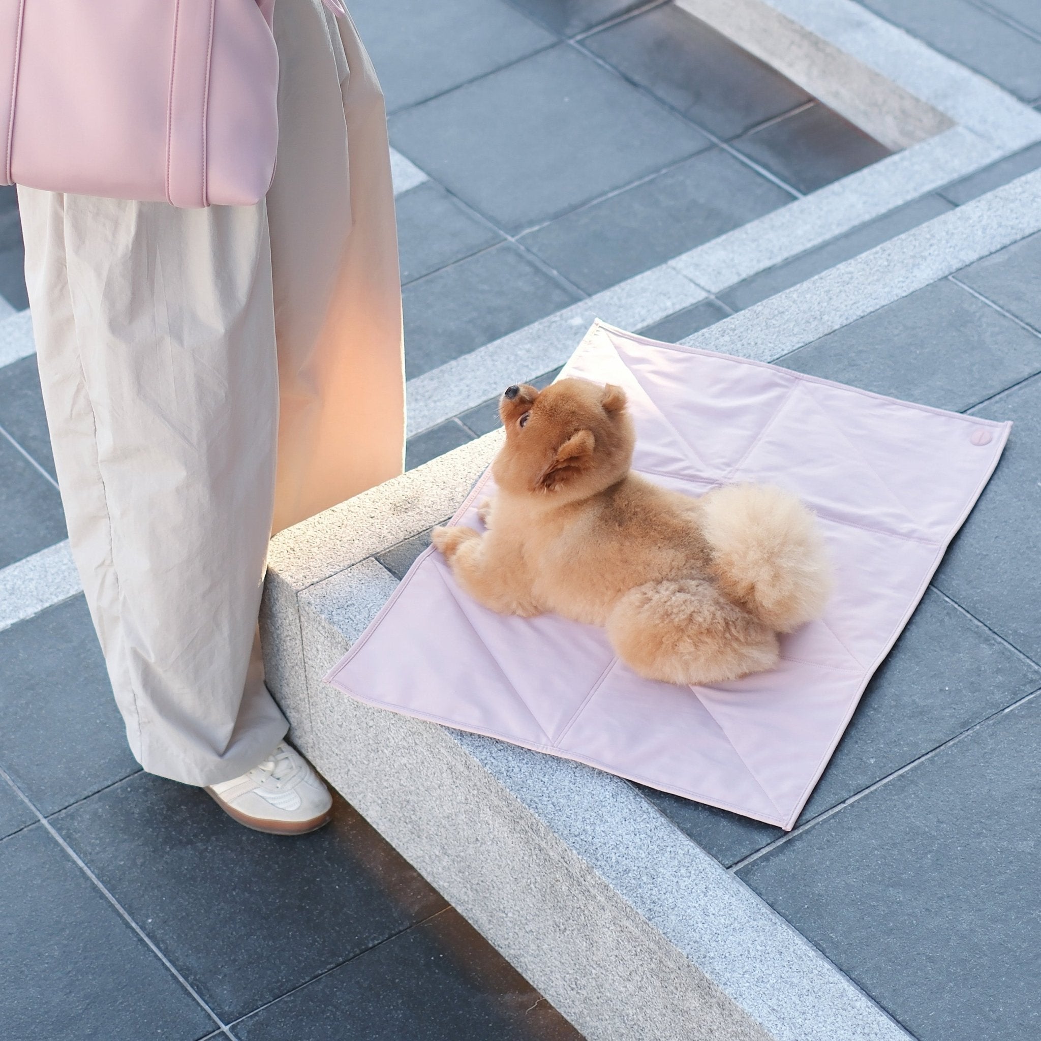 Jouir Travel Mat (Rose) - Pups & Bubs