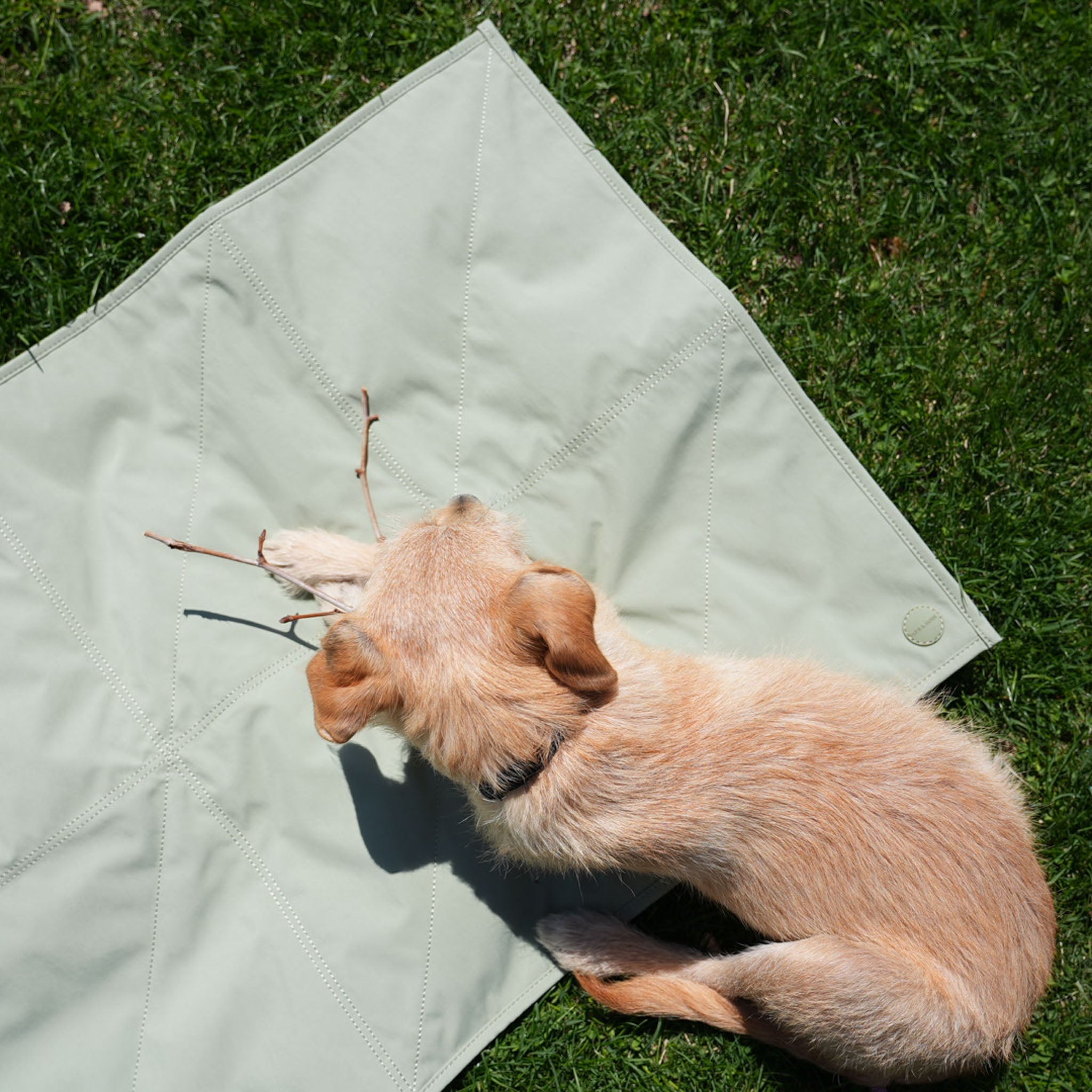 Jouir Travel Mat (Sage) - Pups & Bubs