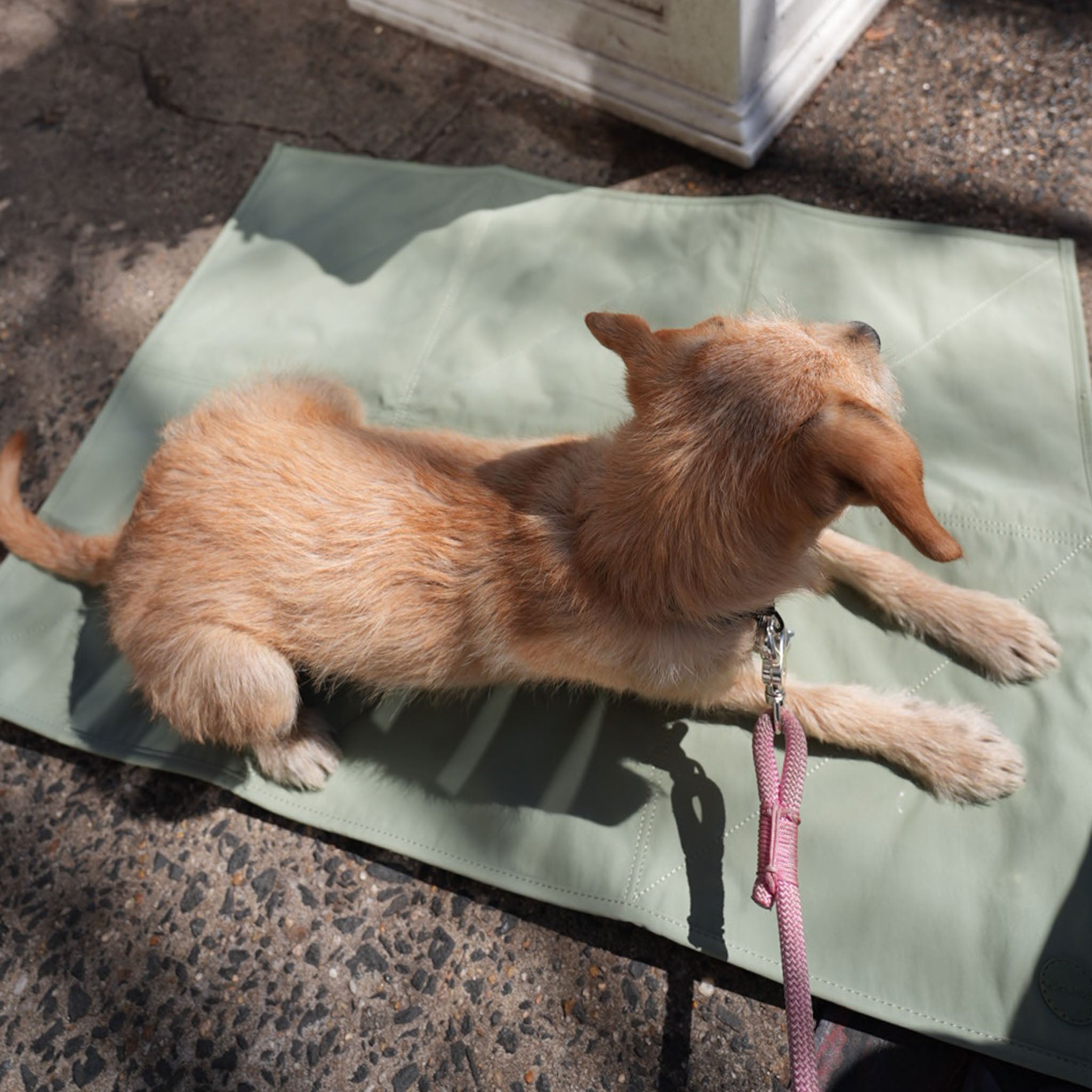 Jouir Travel Mat (Sage) - Pups & Bubs