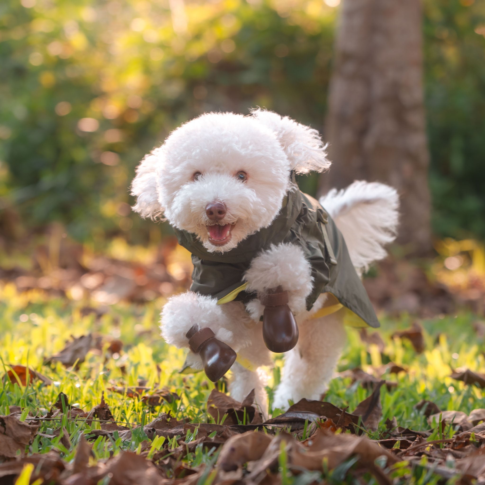 Lumi Raincoat (Pine) - Pups & Bubs