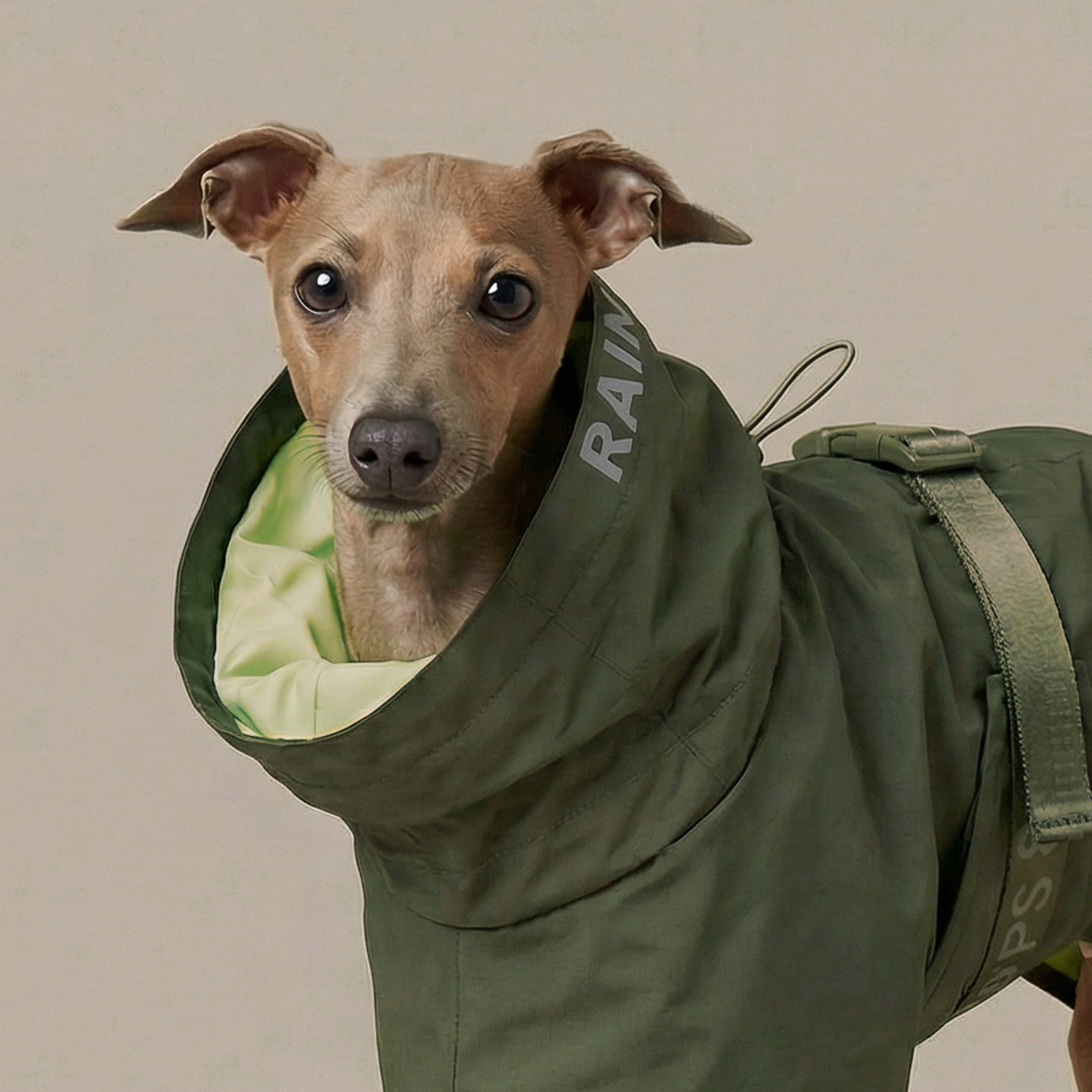 Lumi Raincoat (Pine) - Pups & Bubs