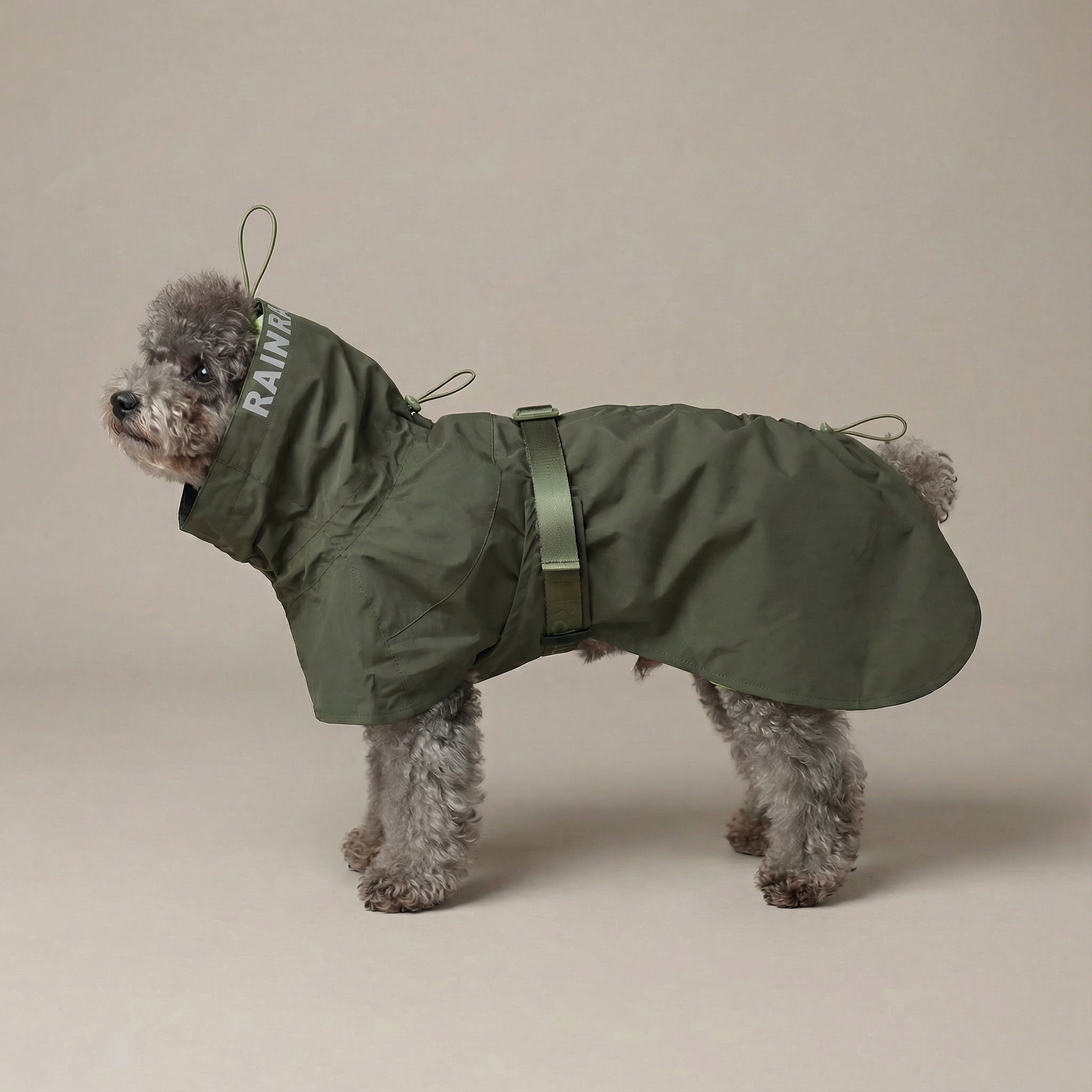 Lumi Raincoat (Pine) - Pups & Bubs