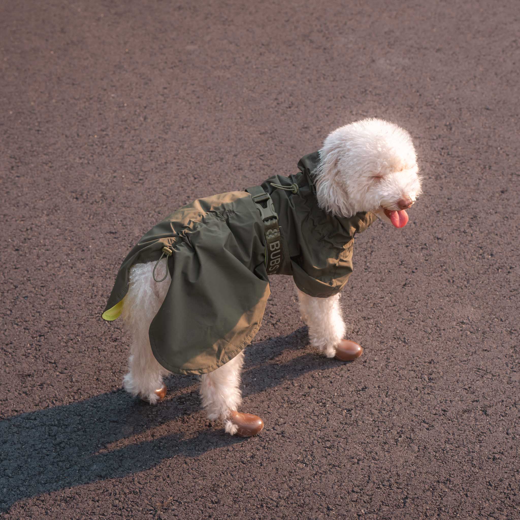 Lumi Raincoat (Pine) - Pups & Bubs