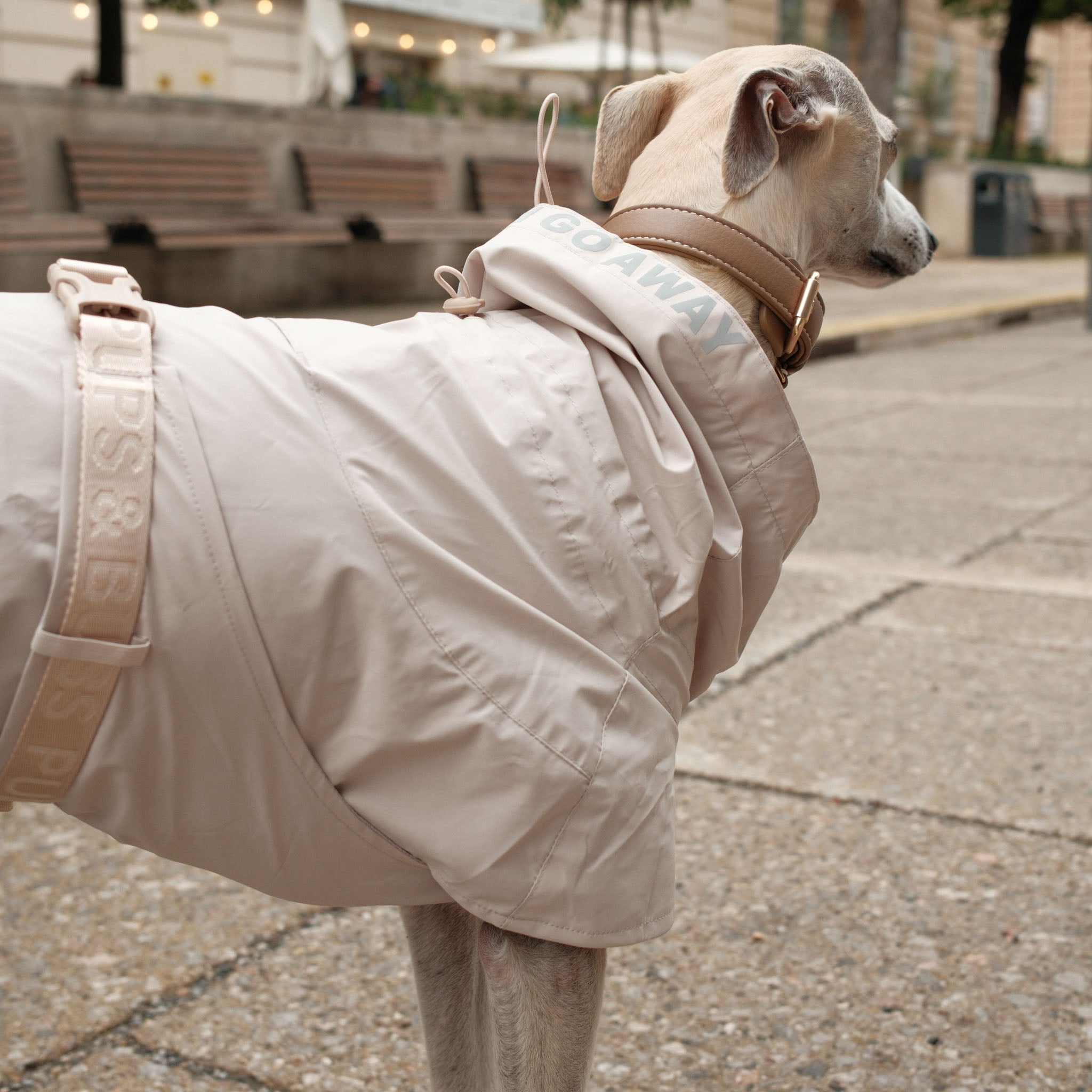 Lumi Raincoat (Sand) - Pups & Bubs