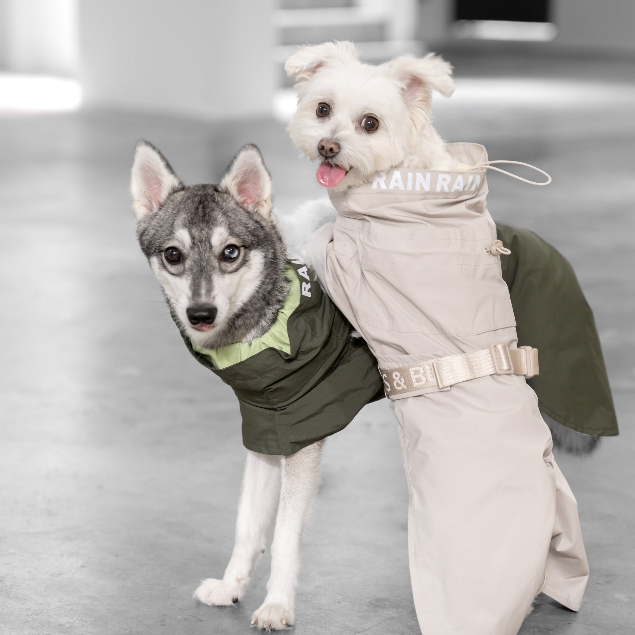 Lumi Raincoat (Sand) - Pups & Bubs