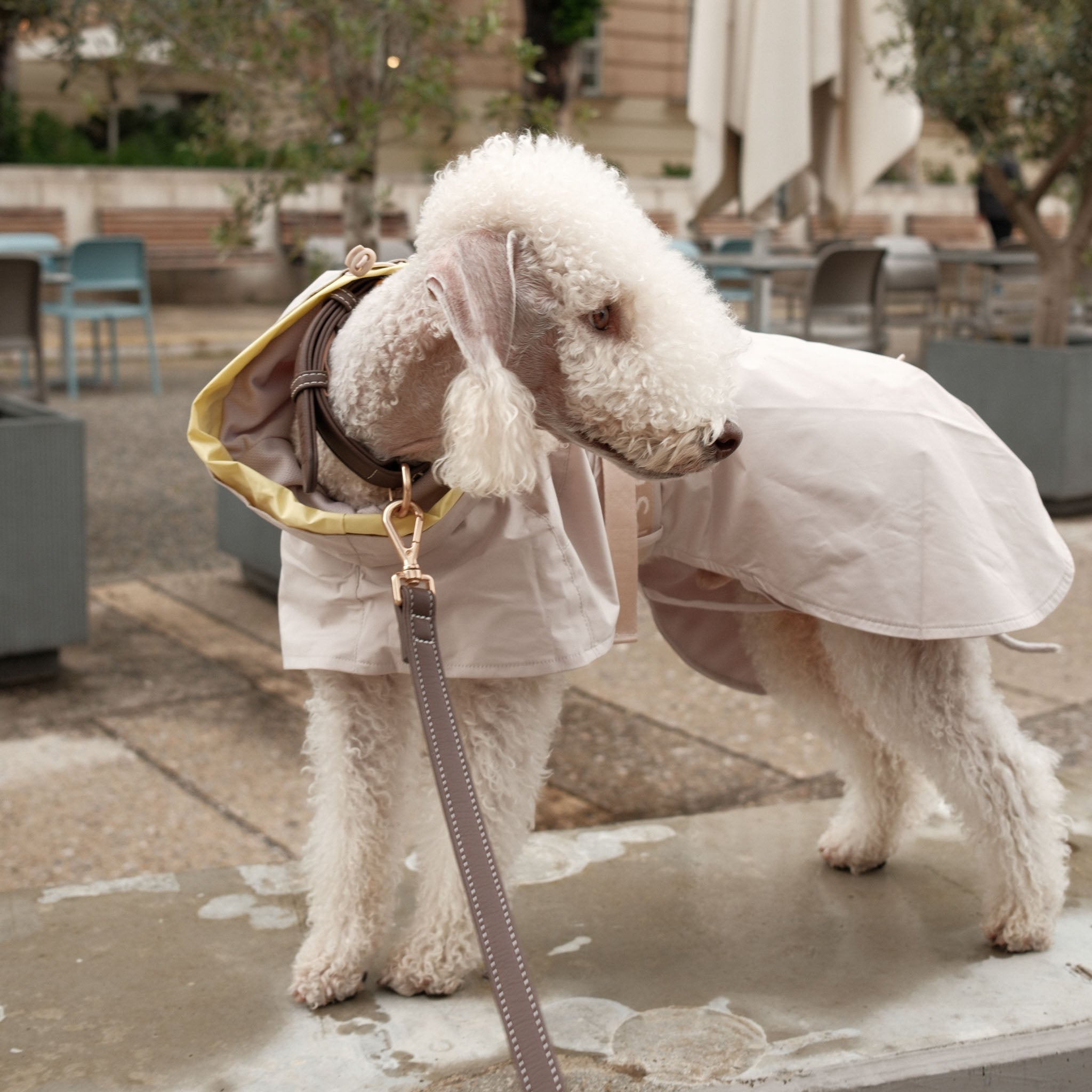 Lumi Raincoat (Sand) - Pups & Bubs