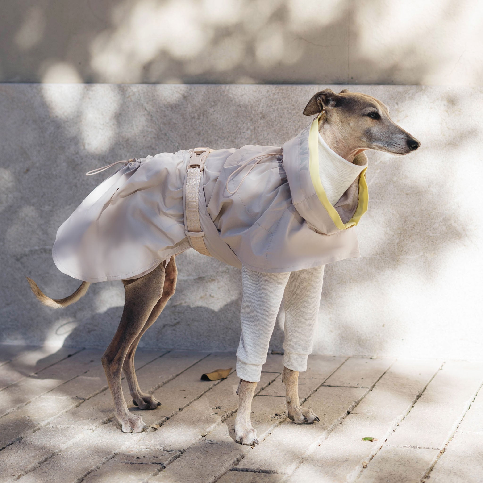 Lumi Raincoat (Sand) - Pups & Bubs