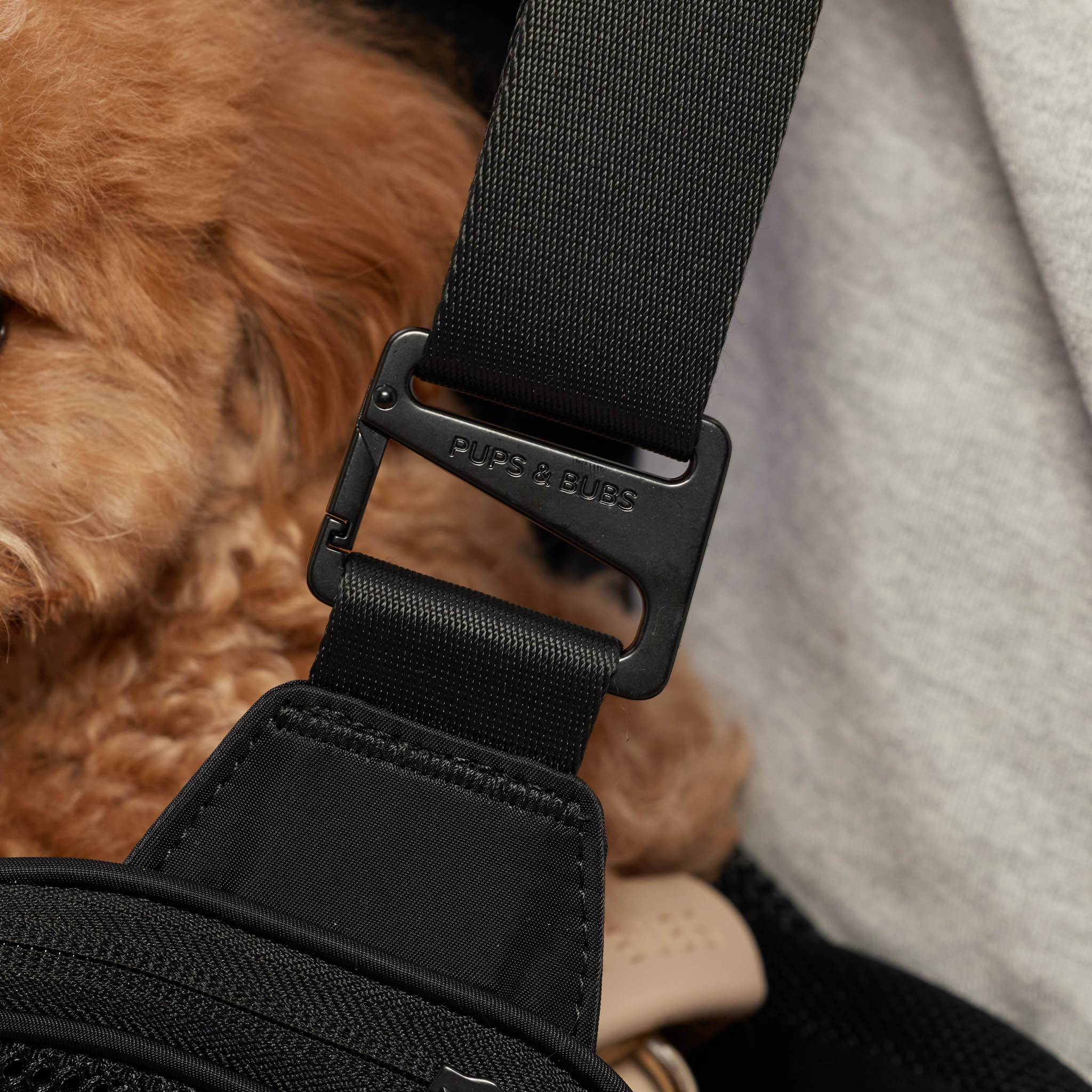 Onboard Travel Pet Carrier (Airline Compliant) - Pups & Bubs