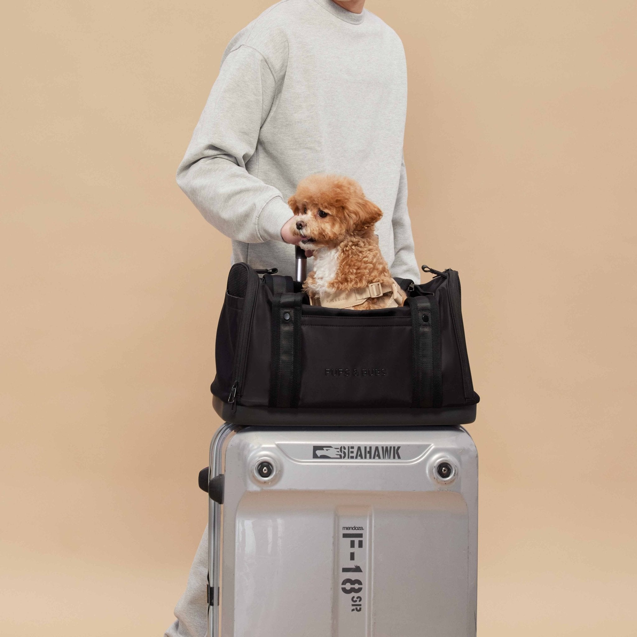 Onboard Travel Pet Carrier (Airline Compliant) - Pups & Bubs