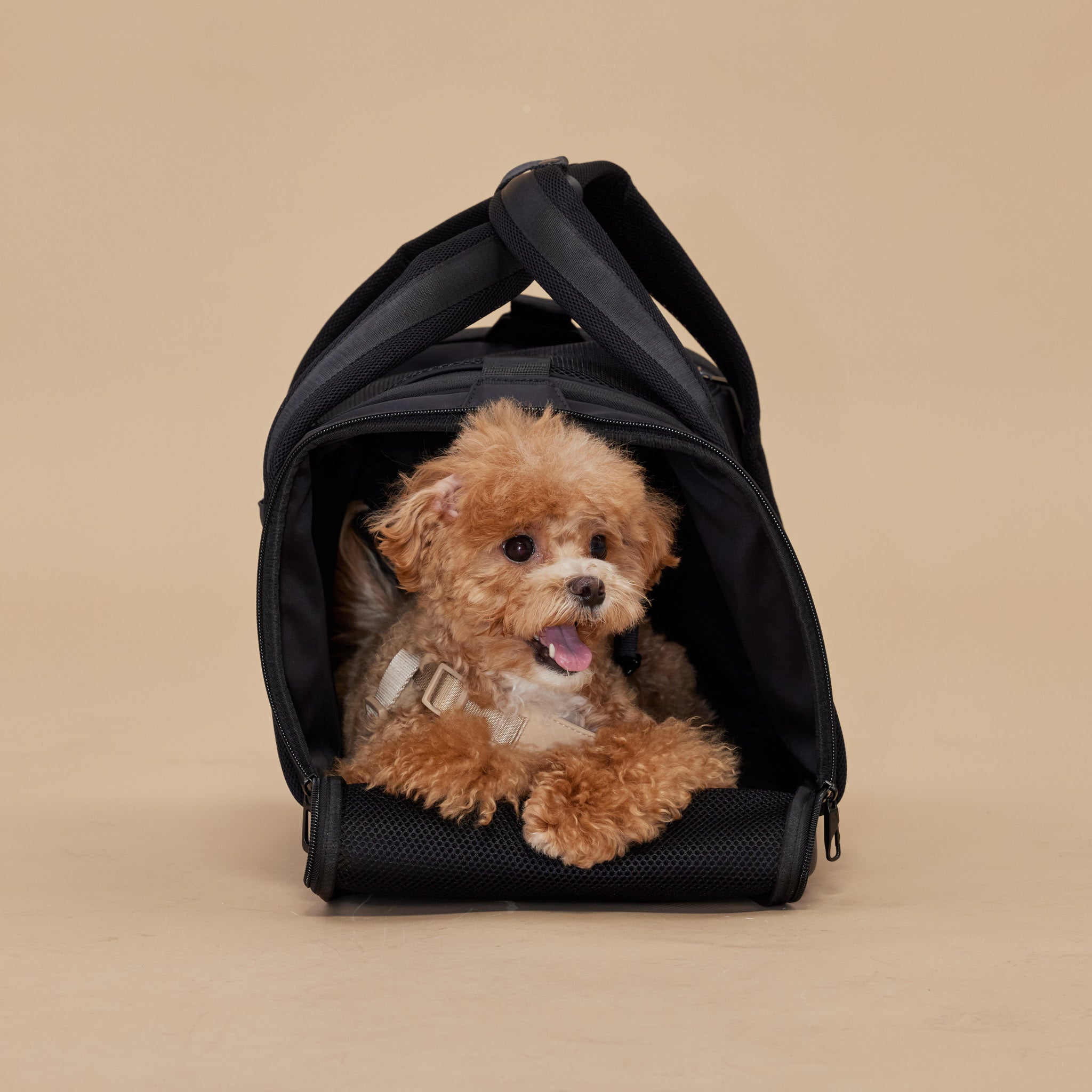 Onboard Travel Pet Carrier (Airline Compliant) - Pups & Bubs