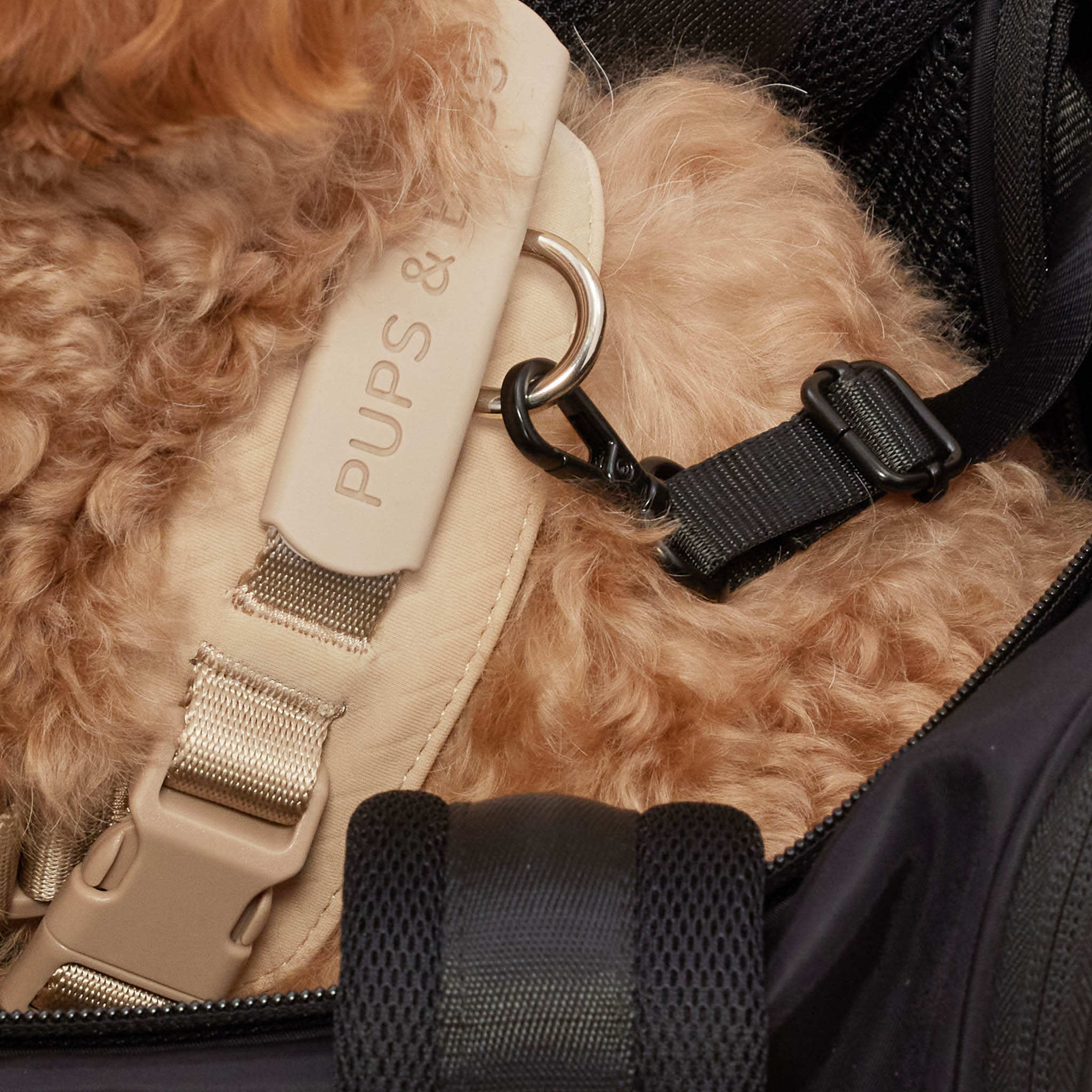 Onboard Travel Pet Carrier (Airline Compliant) - Pups & Bubs