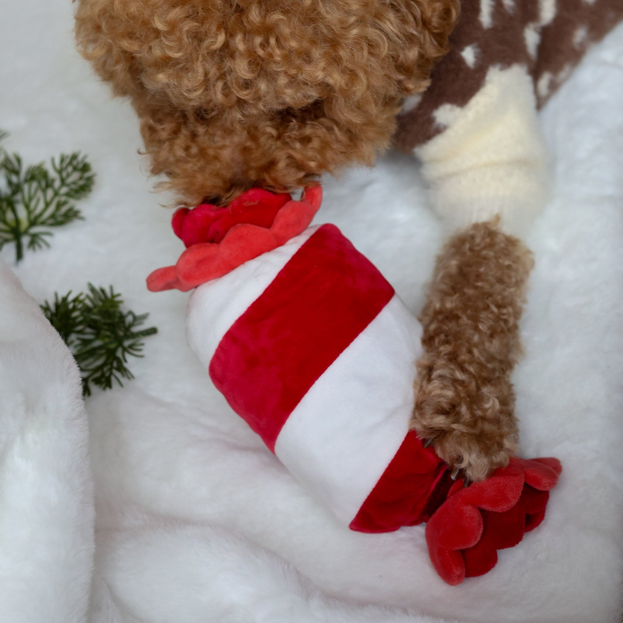 Peppermint Candy Nosework Toy - Pups & Bubs