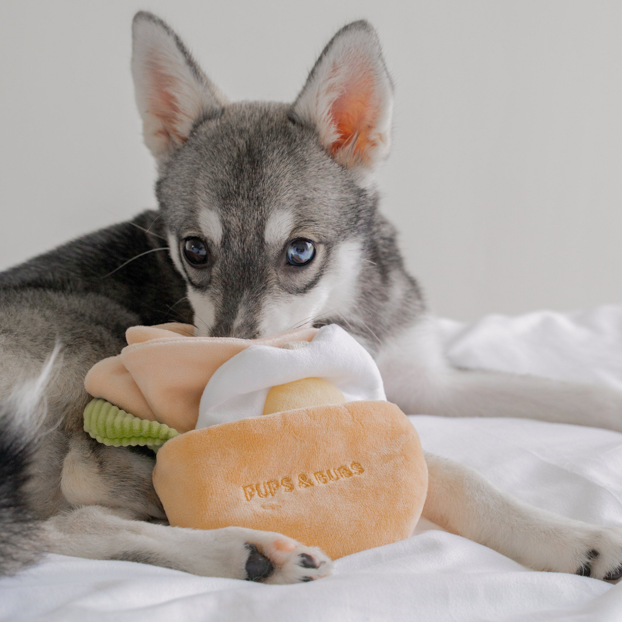 Pita Pocket Nosework Toy - Pups & Bubs