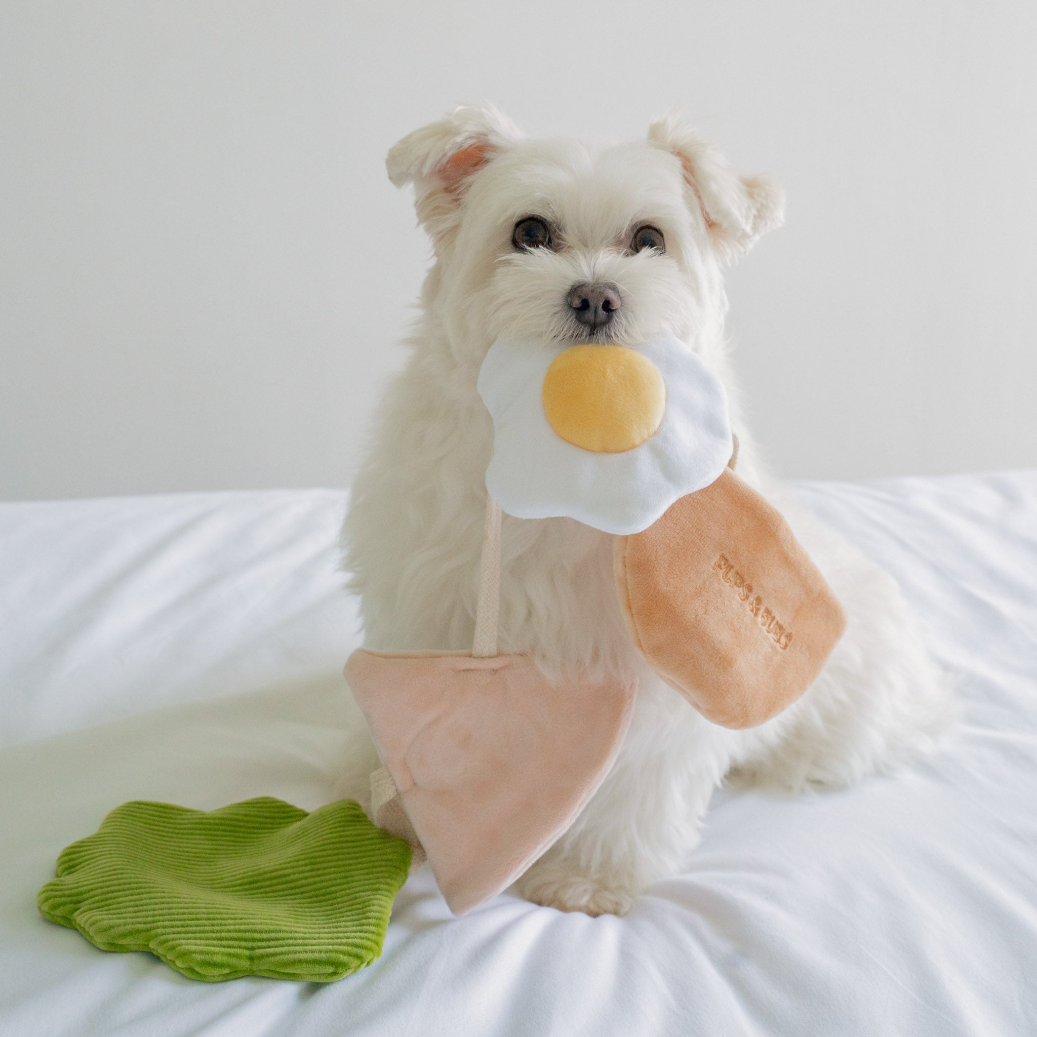 Pita Pocket Nosework Toy - Pups & Bubs