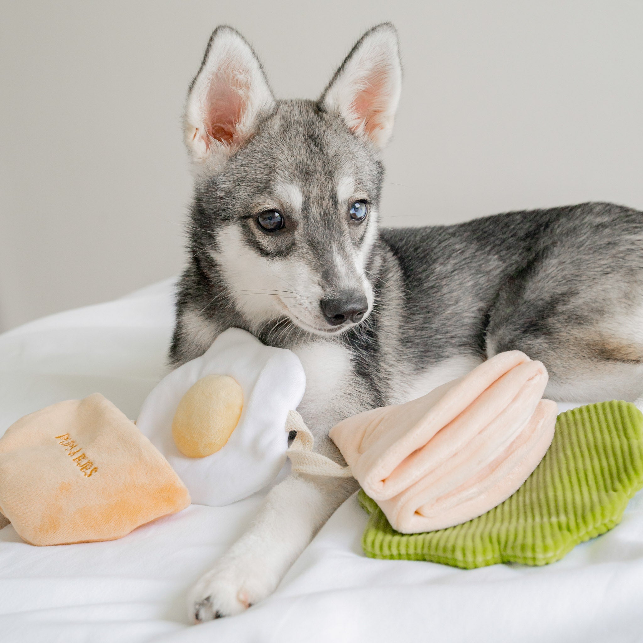 Pita Pocket Nosework Toy - Pups & Bubs