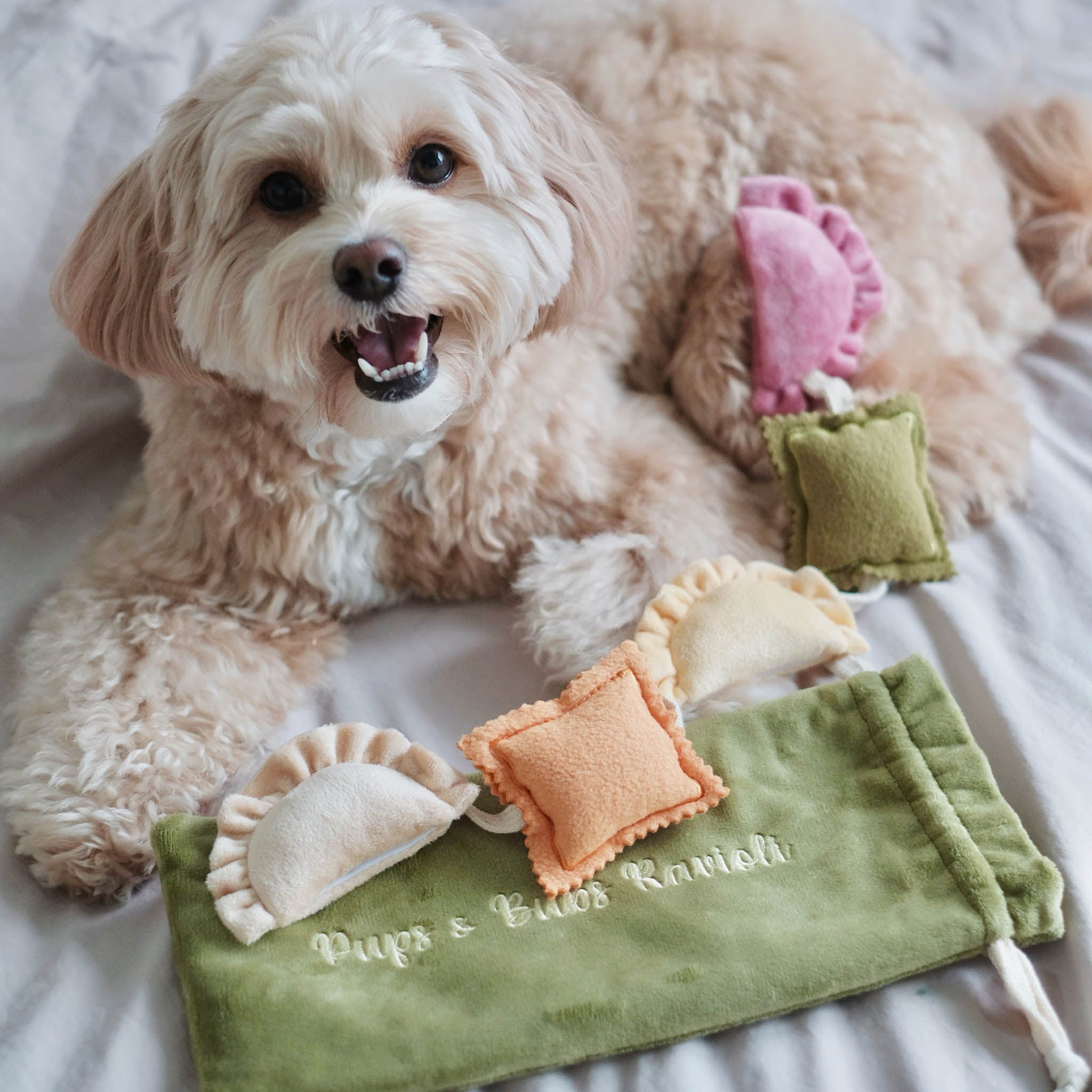 Ravioli Nosework Toy - Pups & Bubs