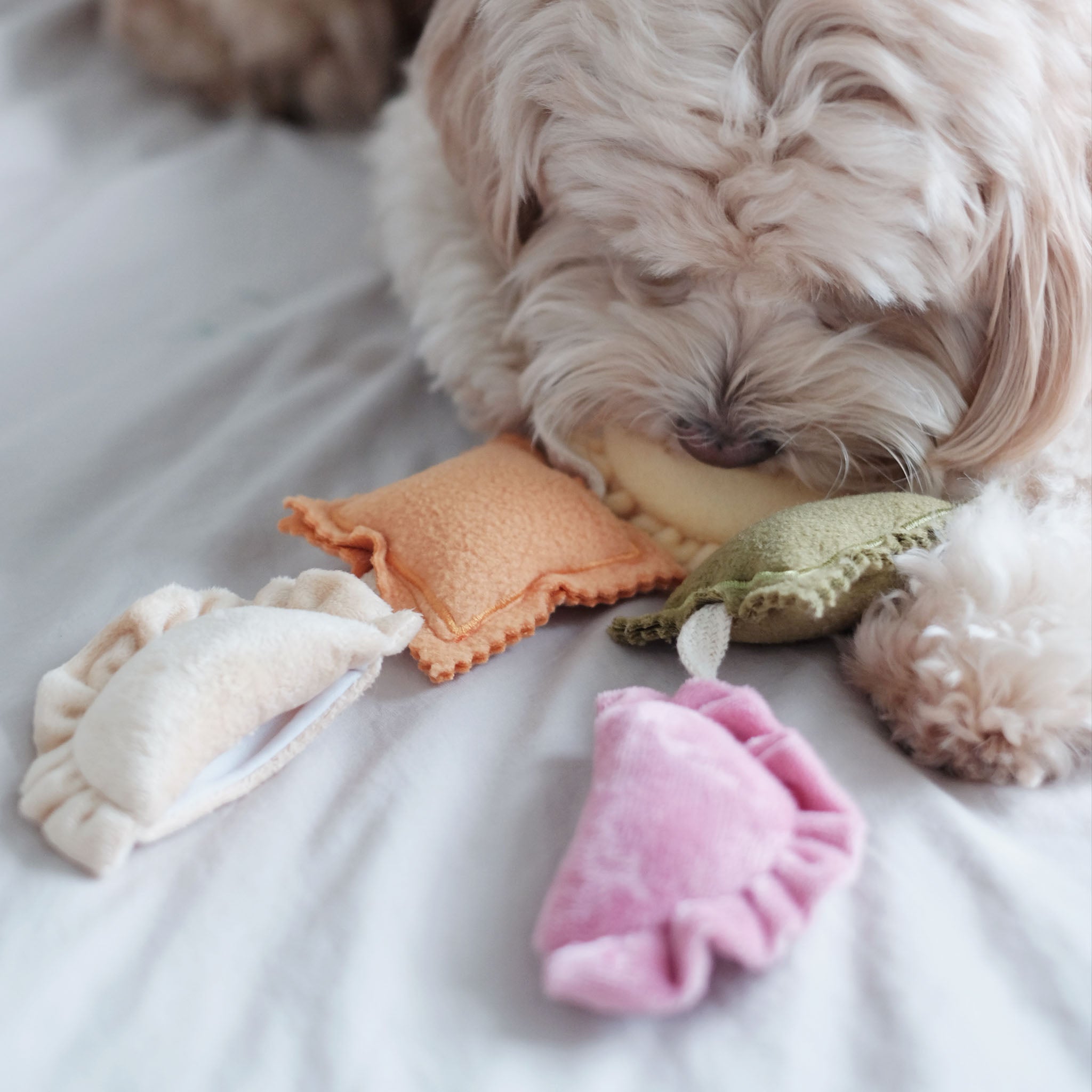 Ravioli Nosework Toy - Pups & Bubs