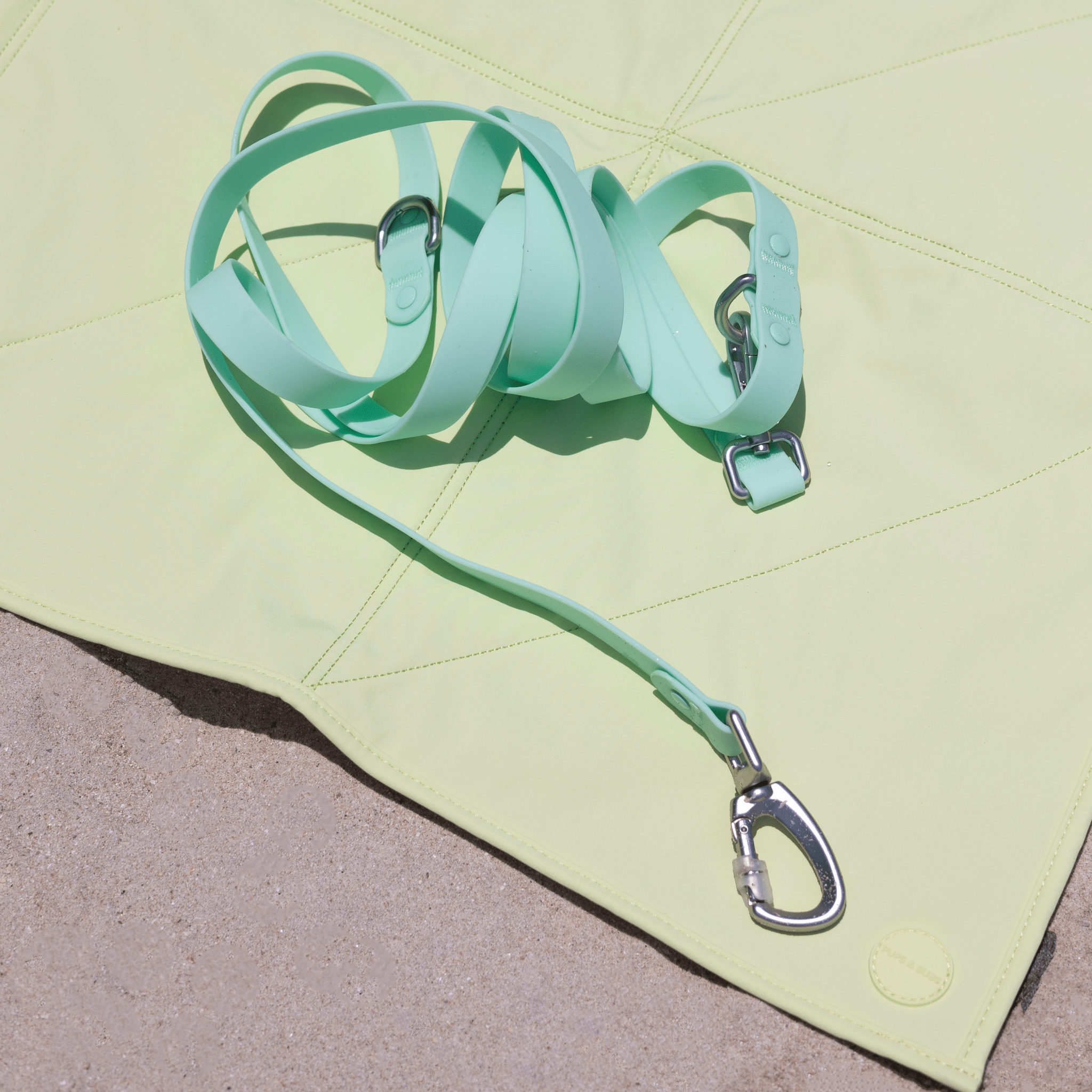 Roam Multi - Way Leash LITE (Cream Soda) - Pups & Bubs