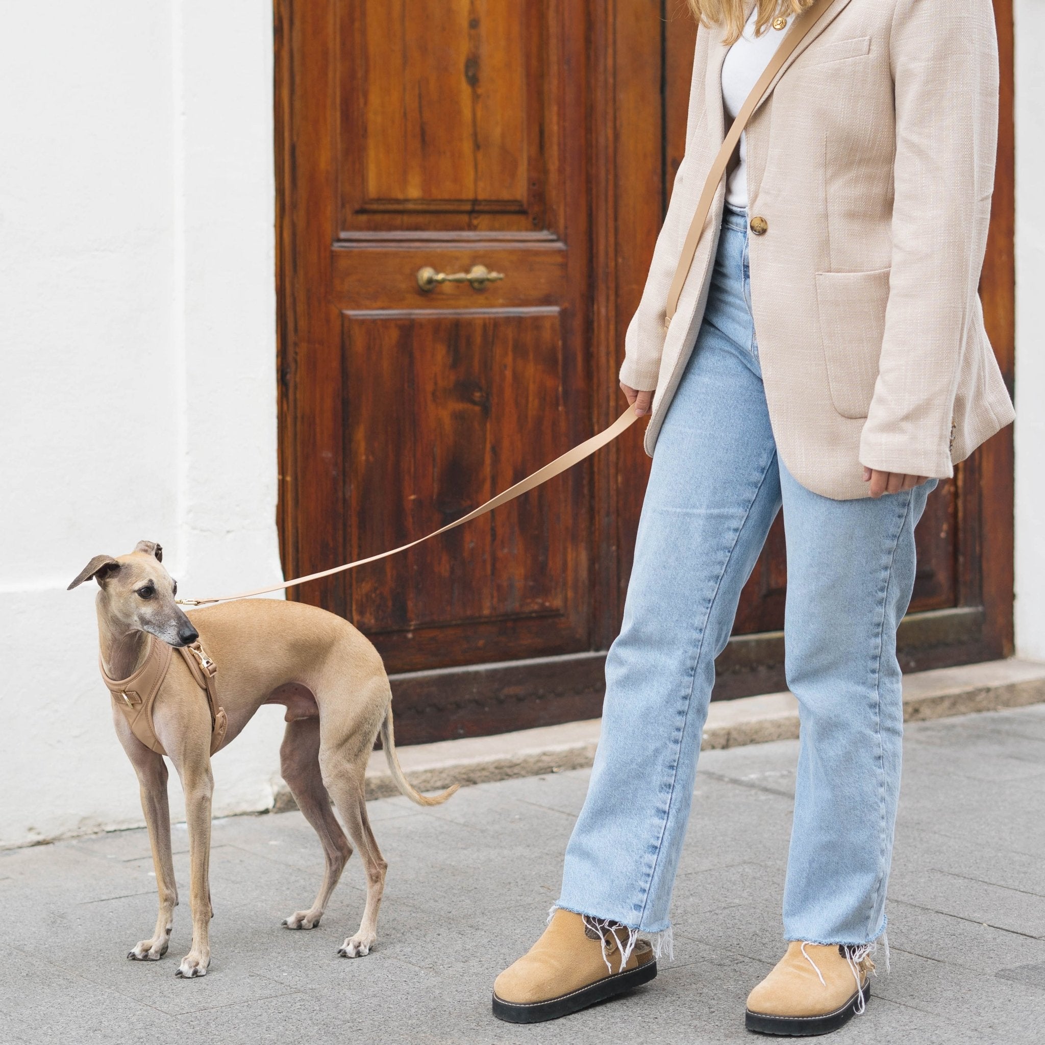Roam Multi - Way Leash LITE (Desert) - Pups & Bubs