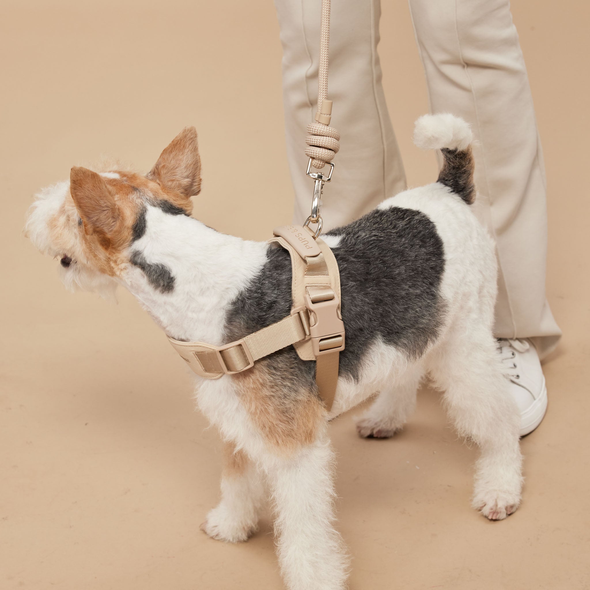 Rover Harness (Sand) - Pups & Bubs