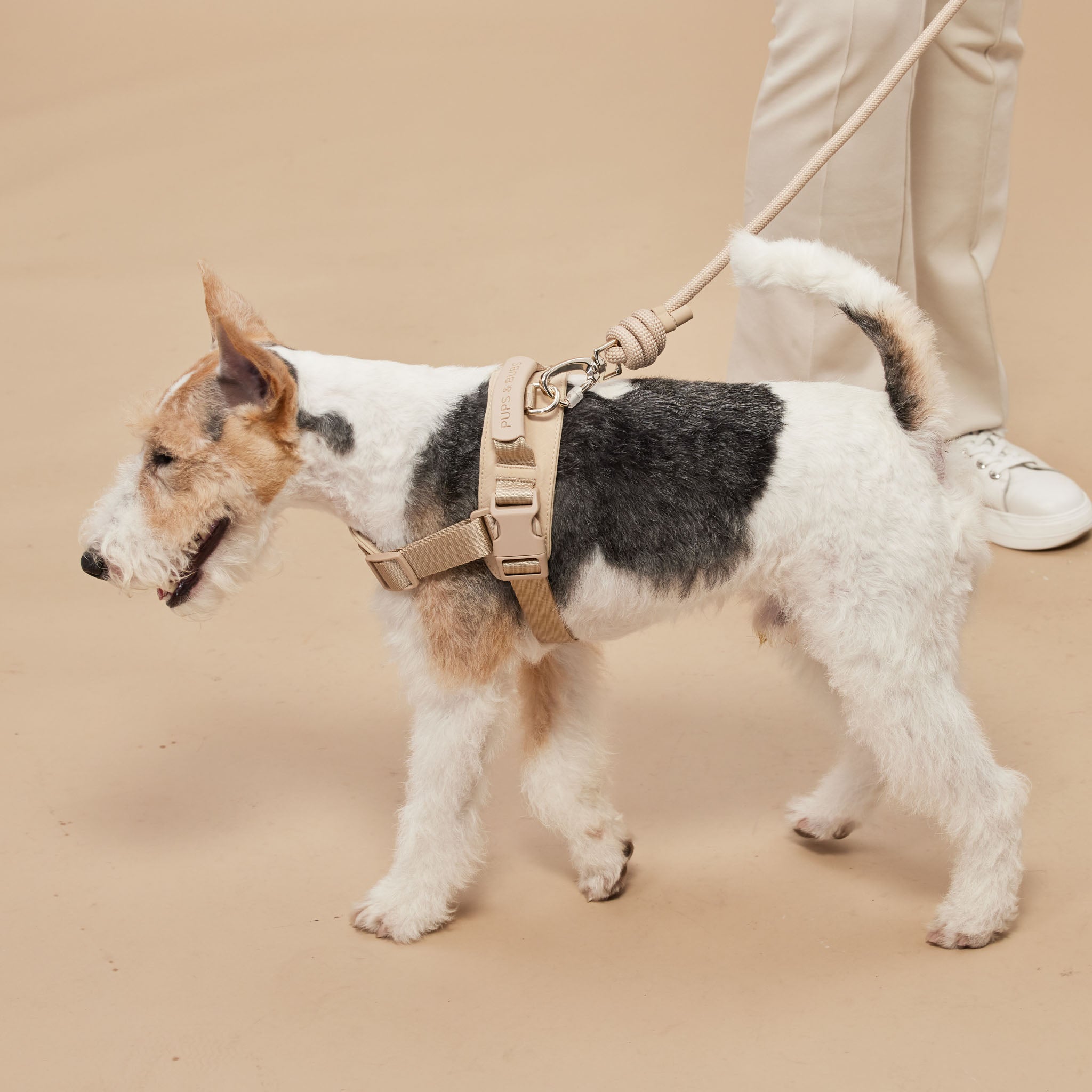 Rover Harness (Sand) - Pups & Bubs