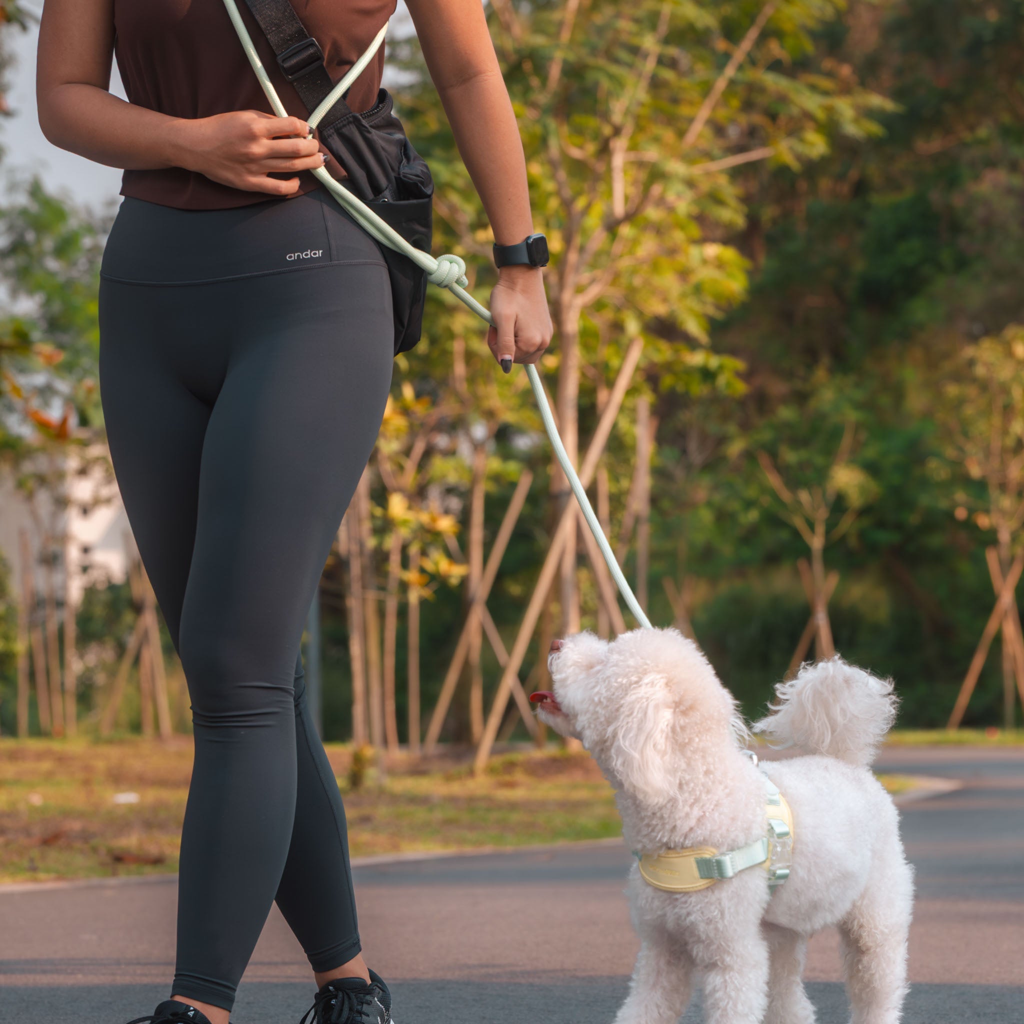 Rover Rope Leash (Cream Soda) - Pups & Bubs