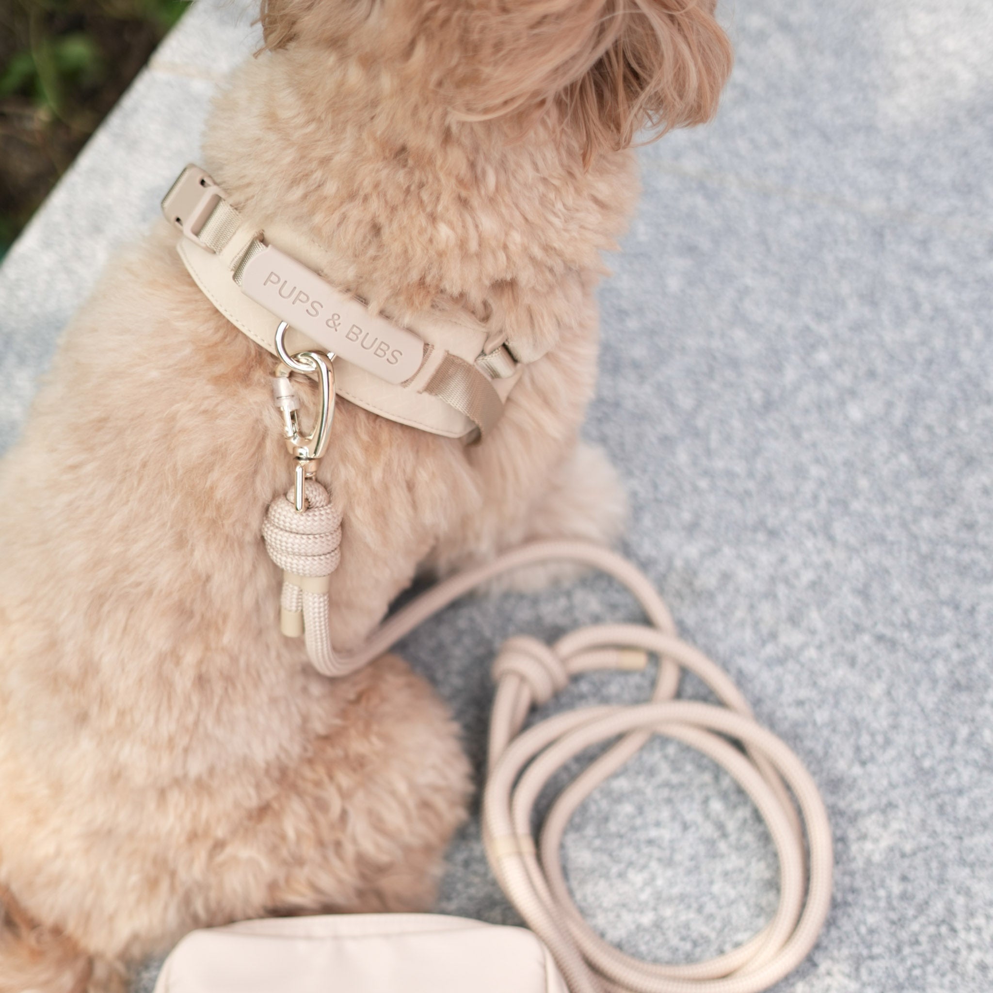 Rover Rope Leash (Dunes) - Pups & Bubs
