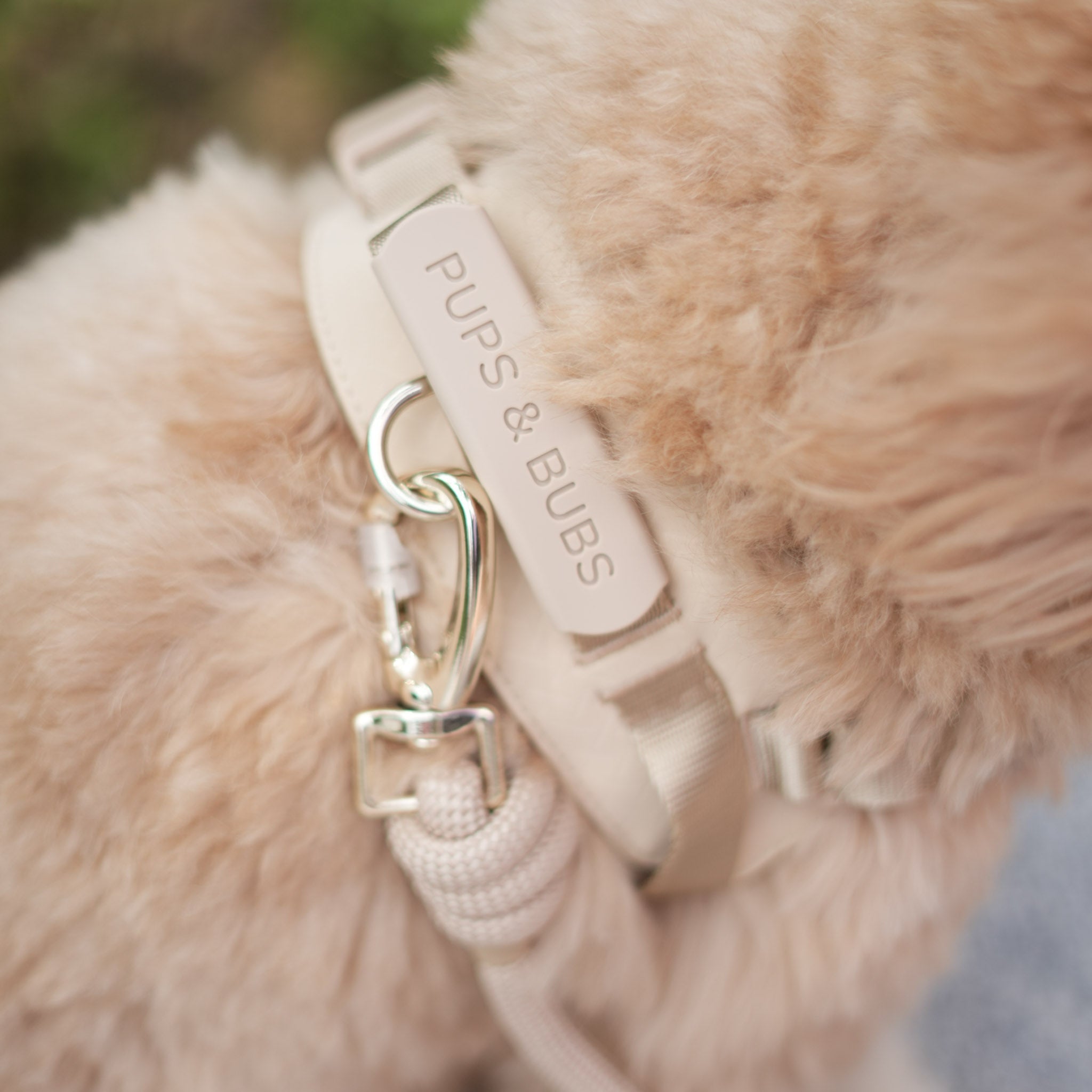 Rover Rope Leash (Dunes) - Pups & Bubs