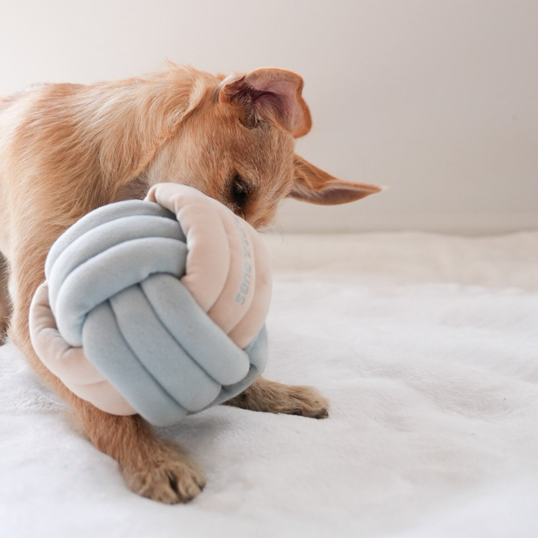 Snuffle Knot Nosework Toy - Pups & Bubs