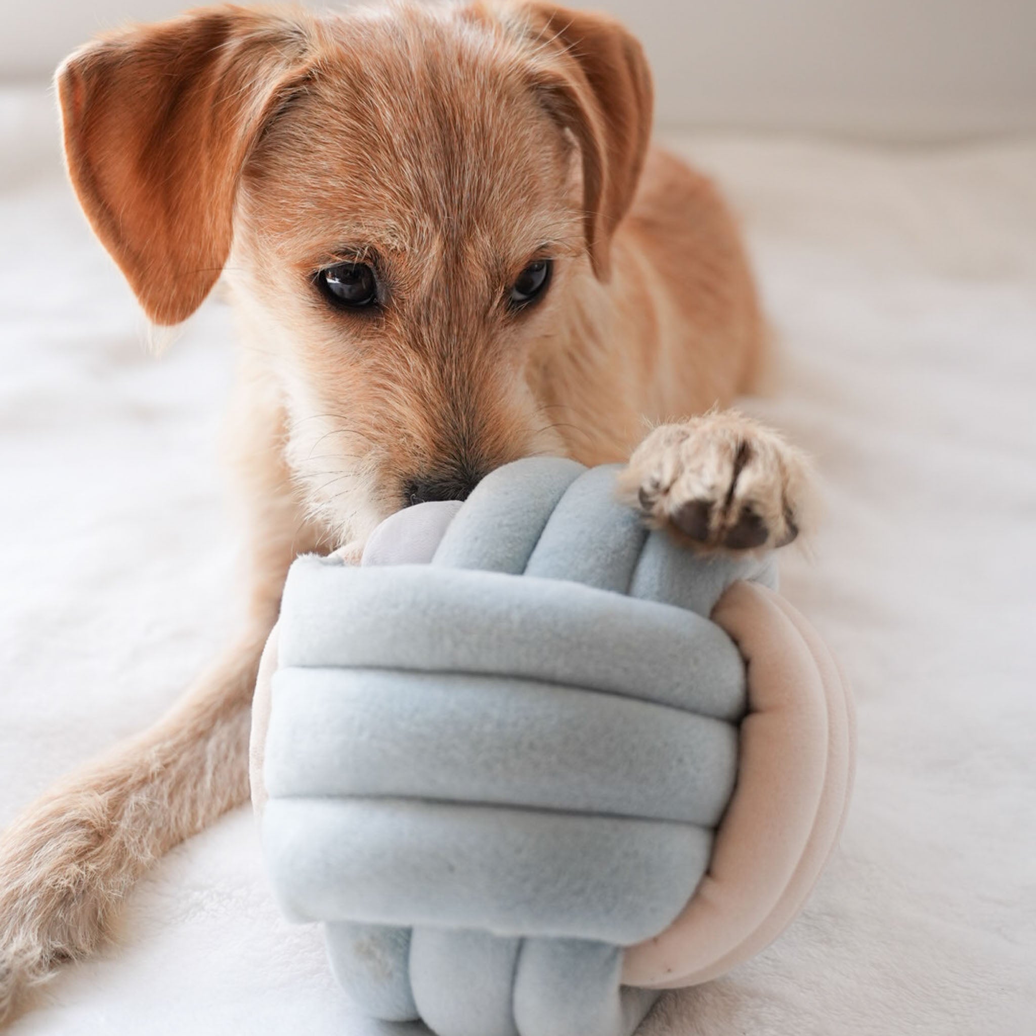 Snuffle Knot Nosework Toy - Pups & Bubs