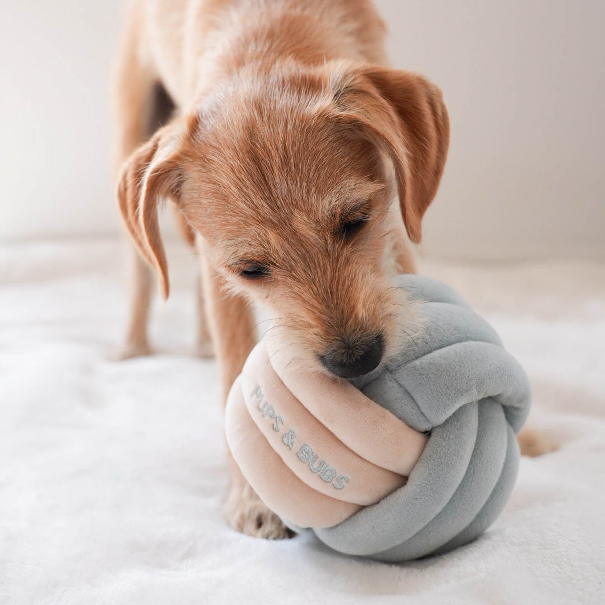 Snuffle Knot Nosework Toy - Pups & Bubs