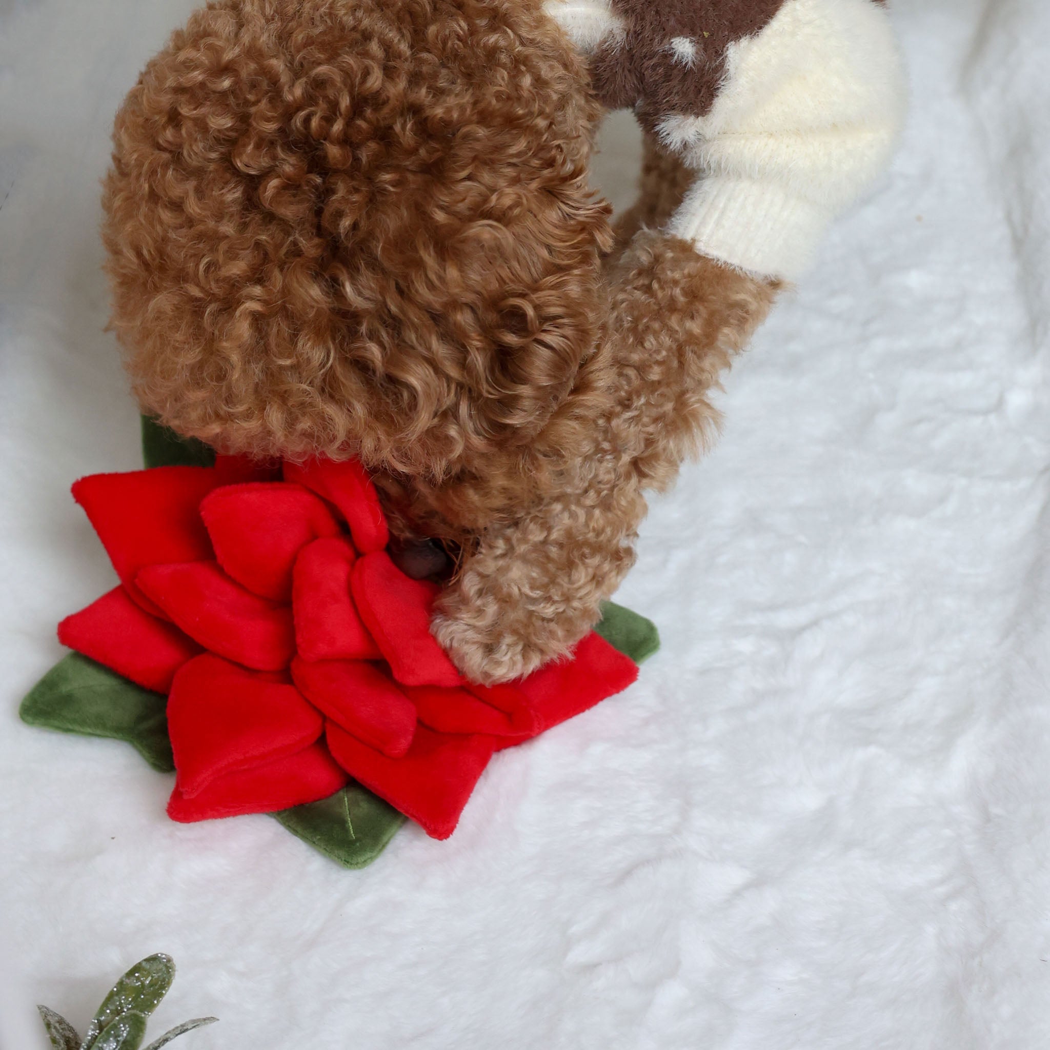 Snuffle Poinsettia Nosework Toy - Pups & Bubs