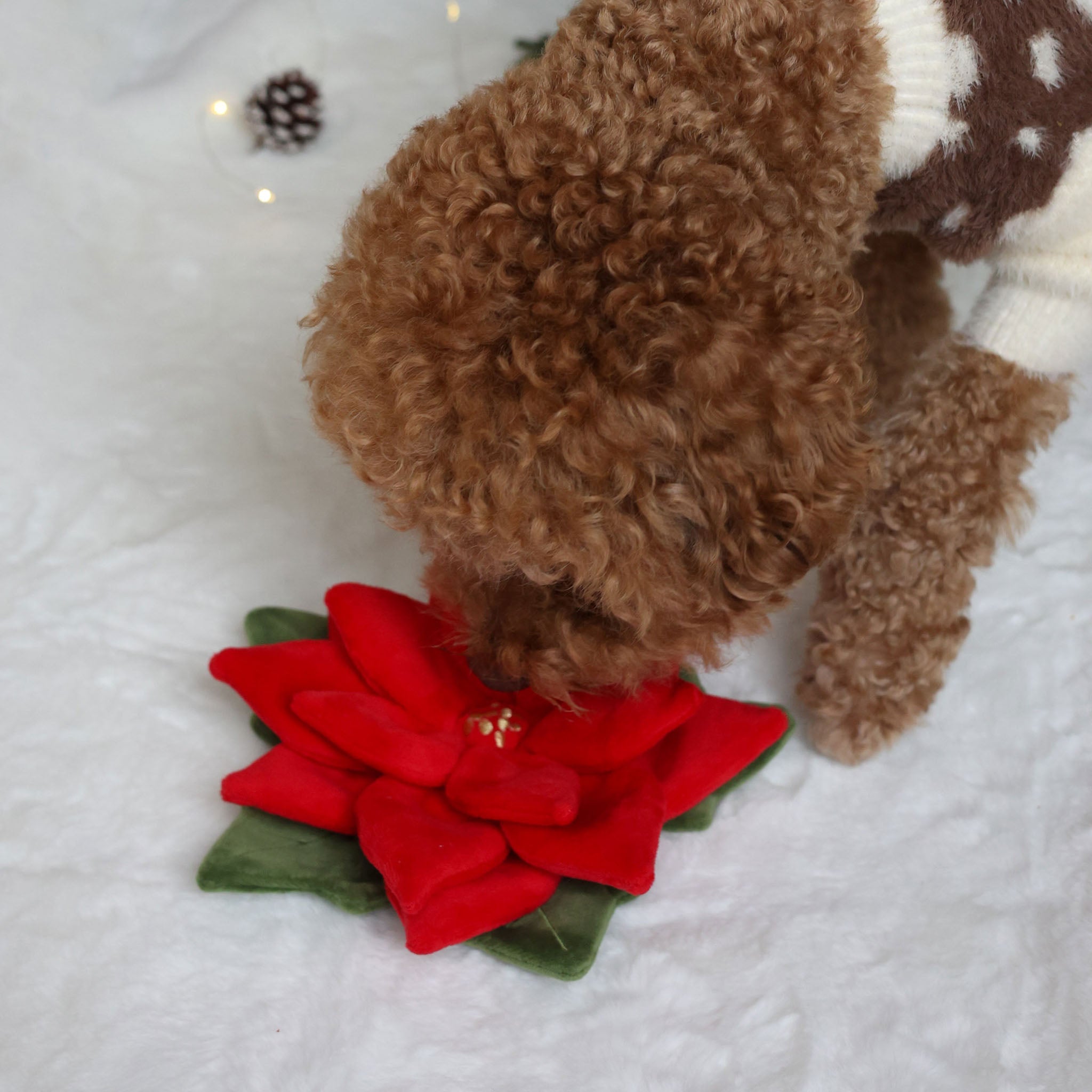 Snuffle Poinsettia Nosework Toy - Pups & Bubs