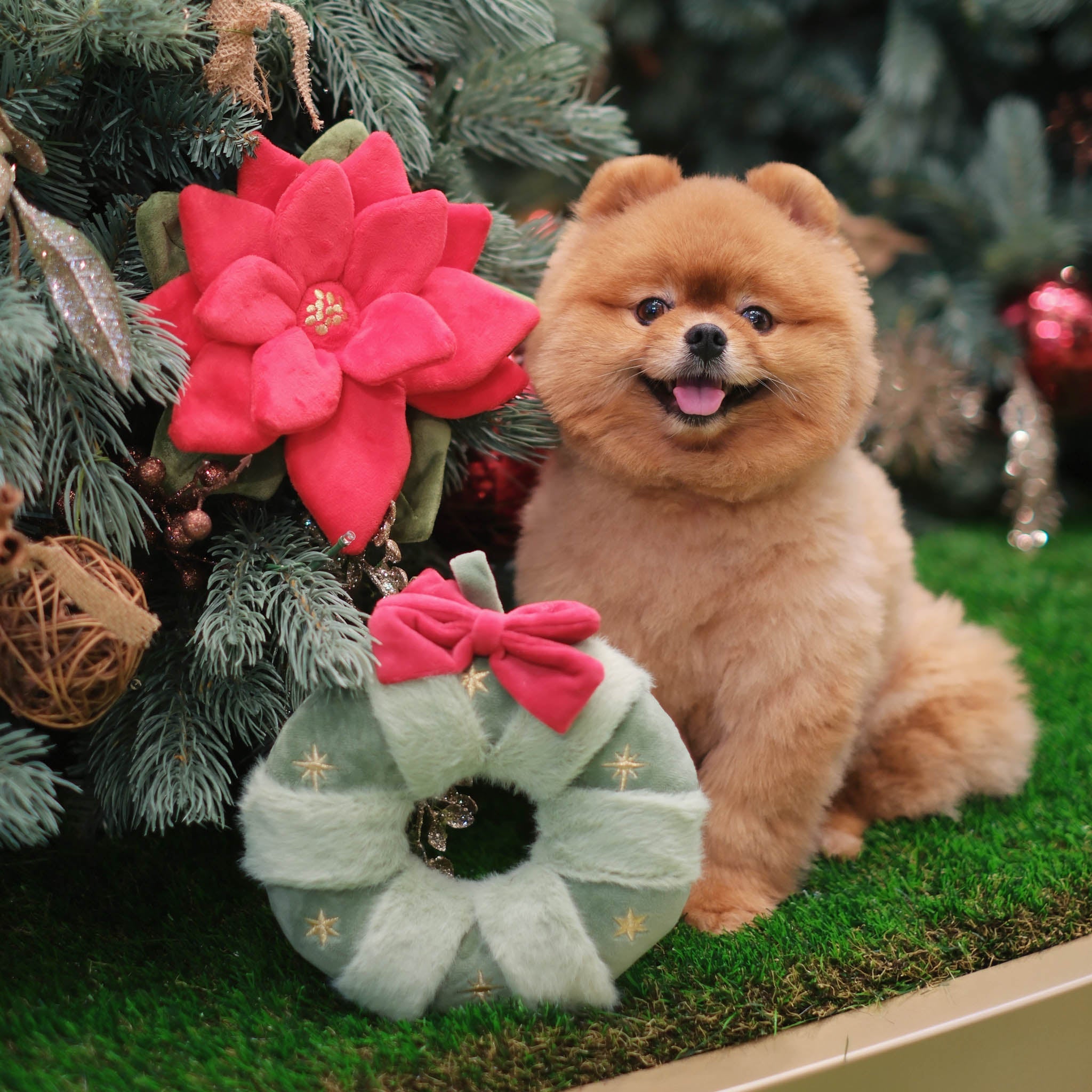 Snuffle Poinsettia Nosework Toy - Pups & Bubs