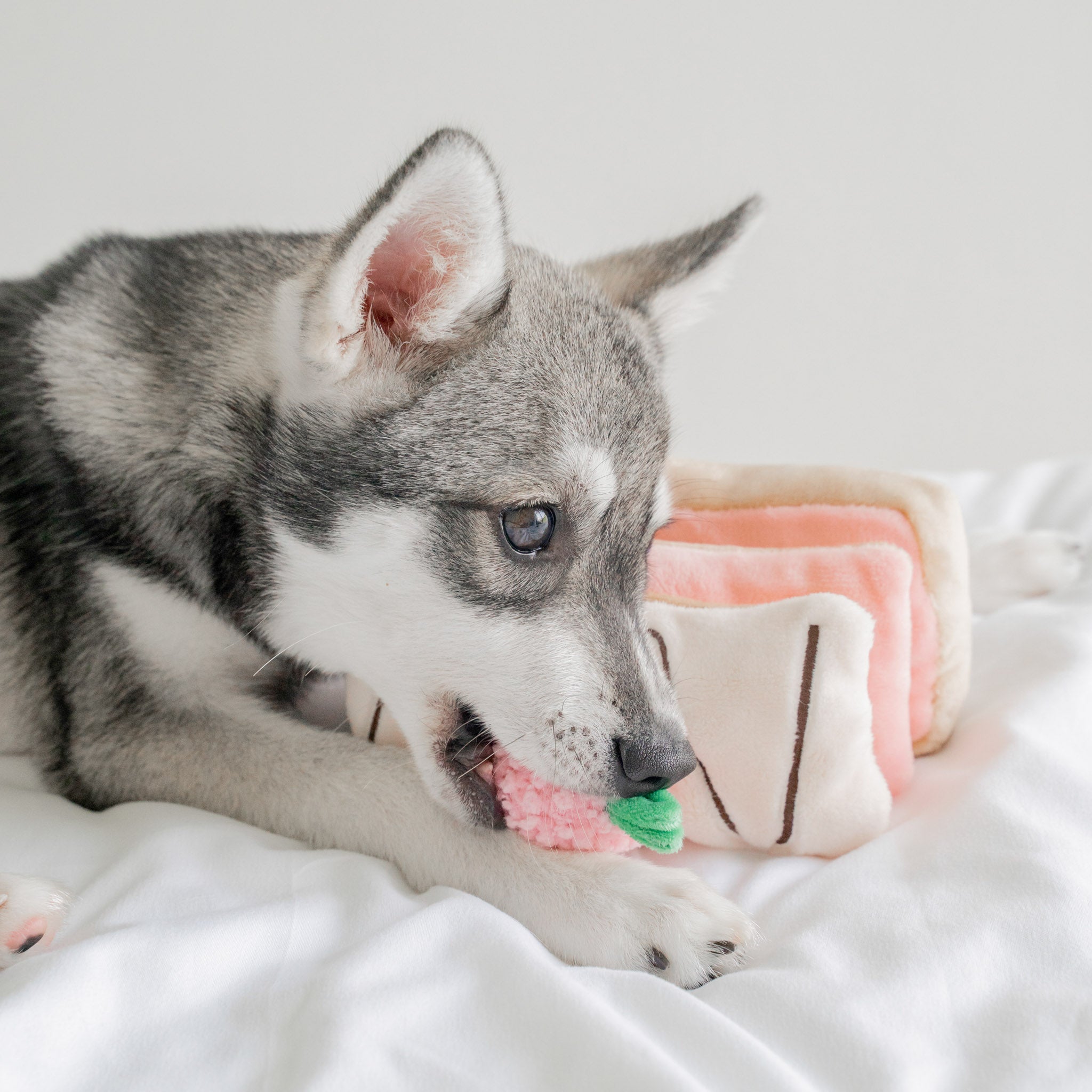 Strawberry Mille - Feuille Nosework Toy - Pups & Bubs